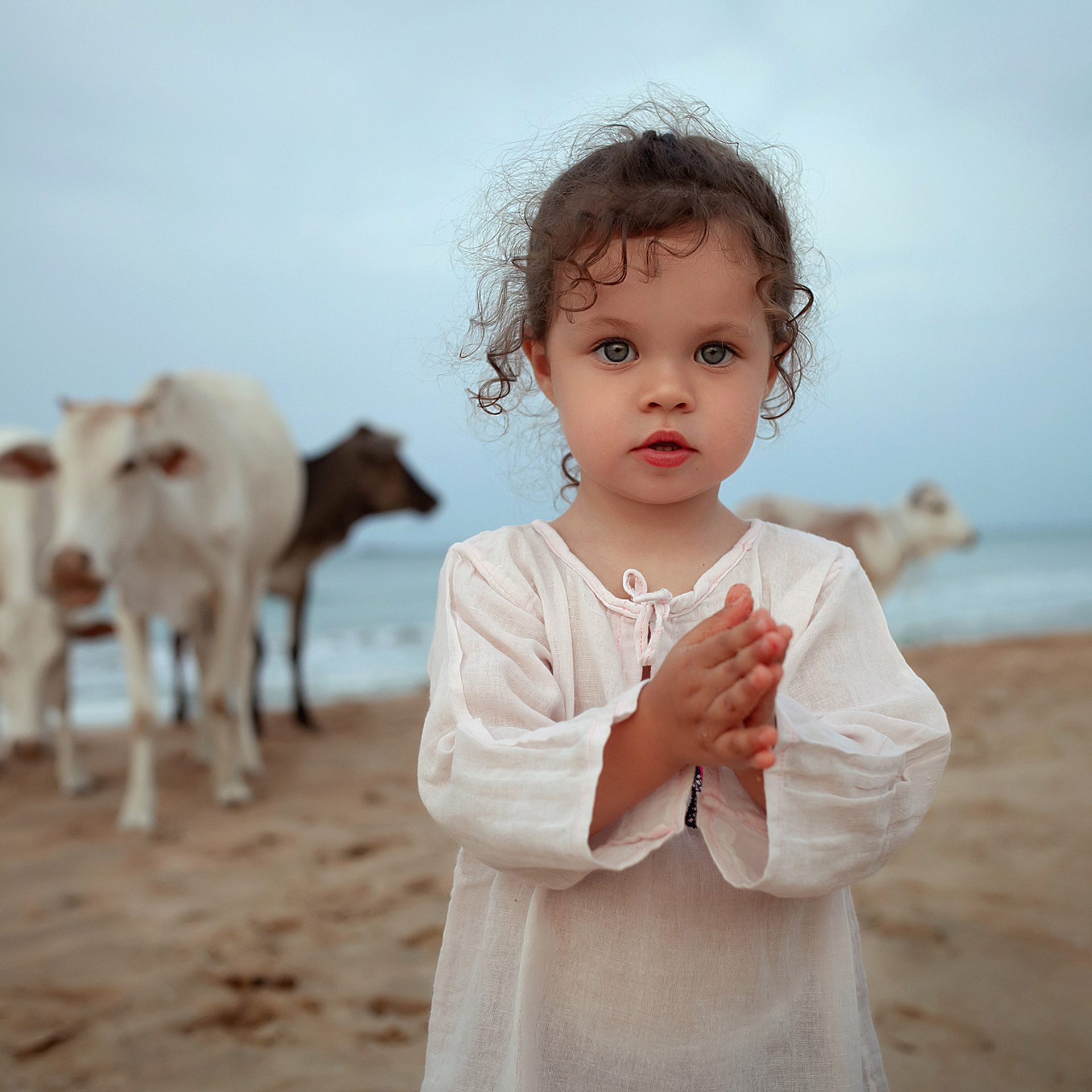 с коровами