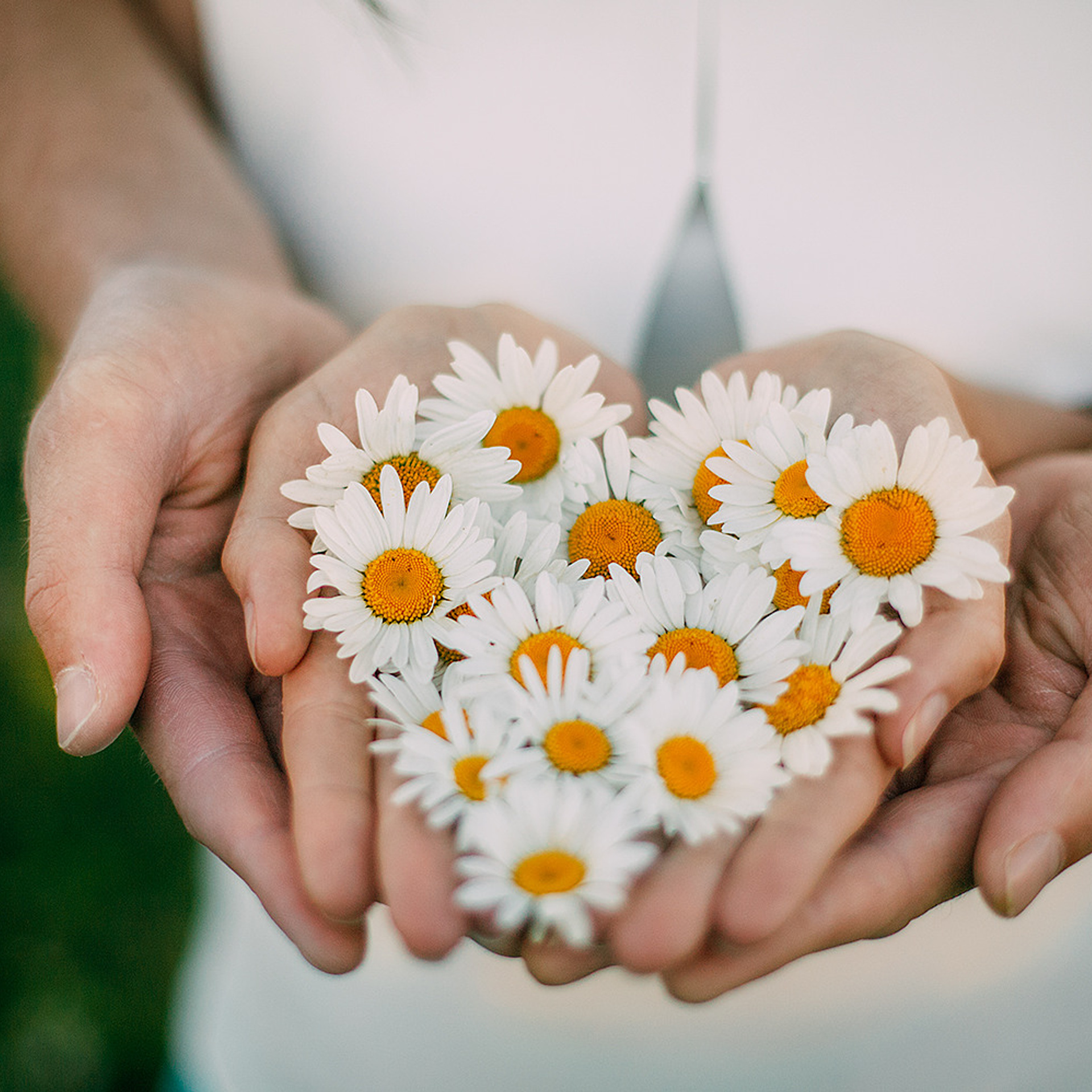 Семейная съёмка