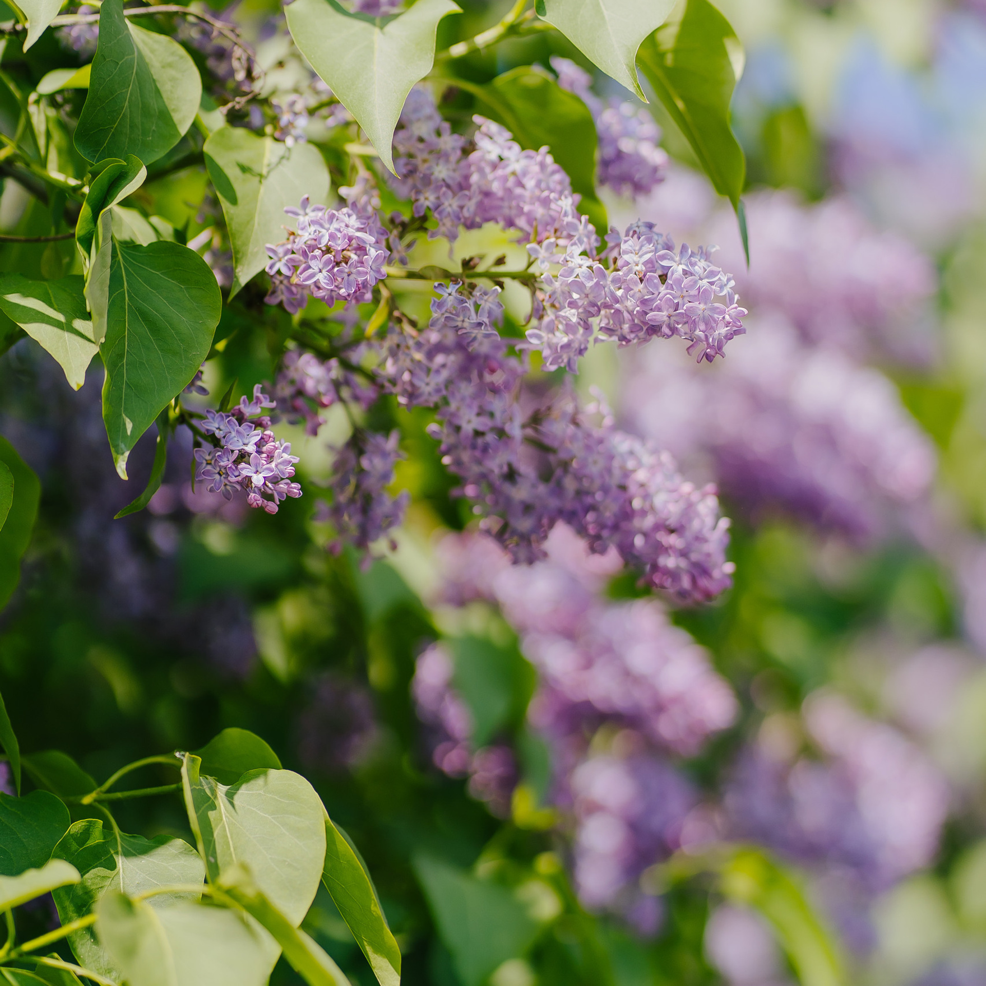 Отзывы. Снимаю жизнь ❤