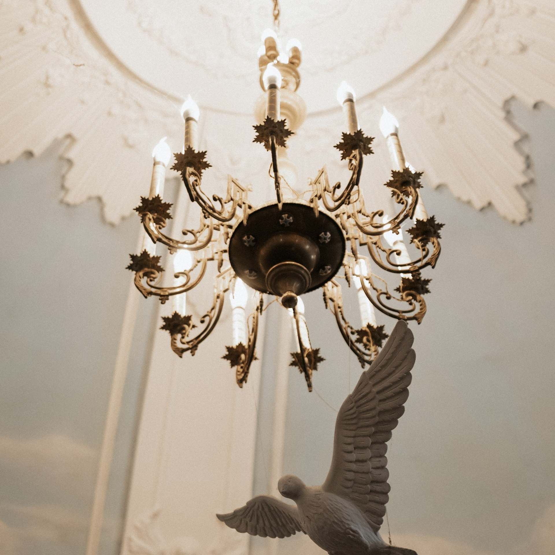 Отзывы на фотосъёмку. Фотограф в Барнауле Дарья Бутурлакина. Люби.Цени.Касайся