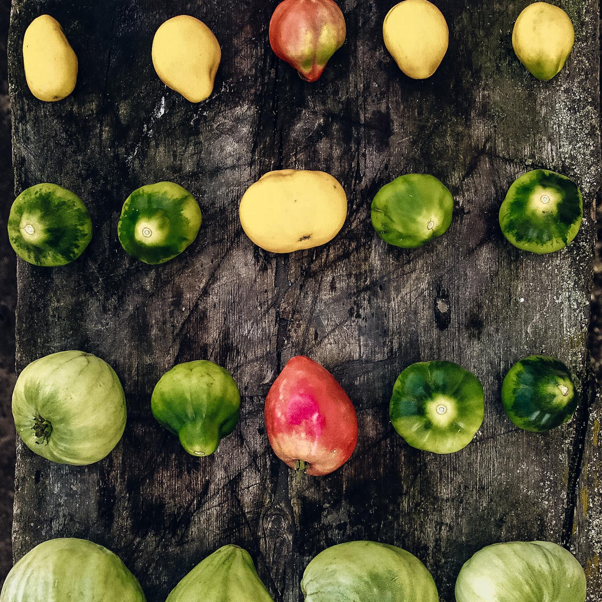 МАРКЕТПЛЕЙС / КОНТЕНТ СЪЕМКА. Фотограф Олеся Милош Мытищи, Москва и МО и весь мир