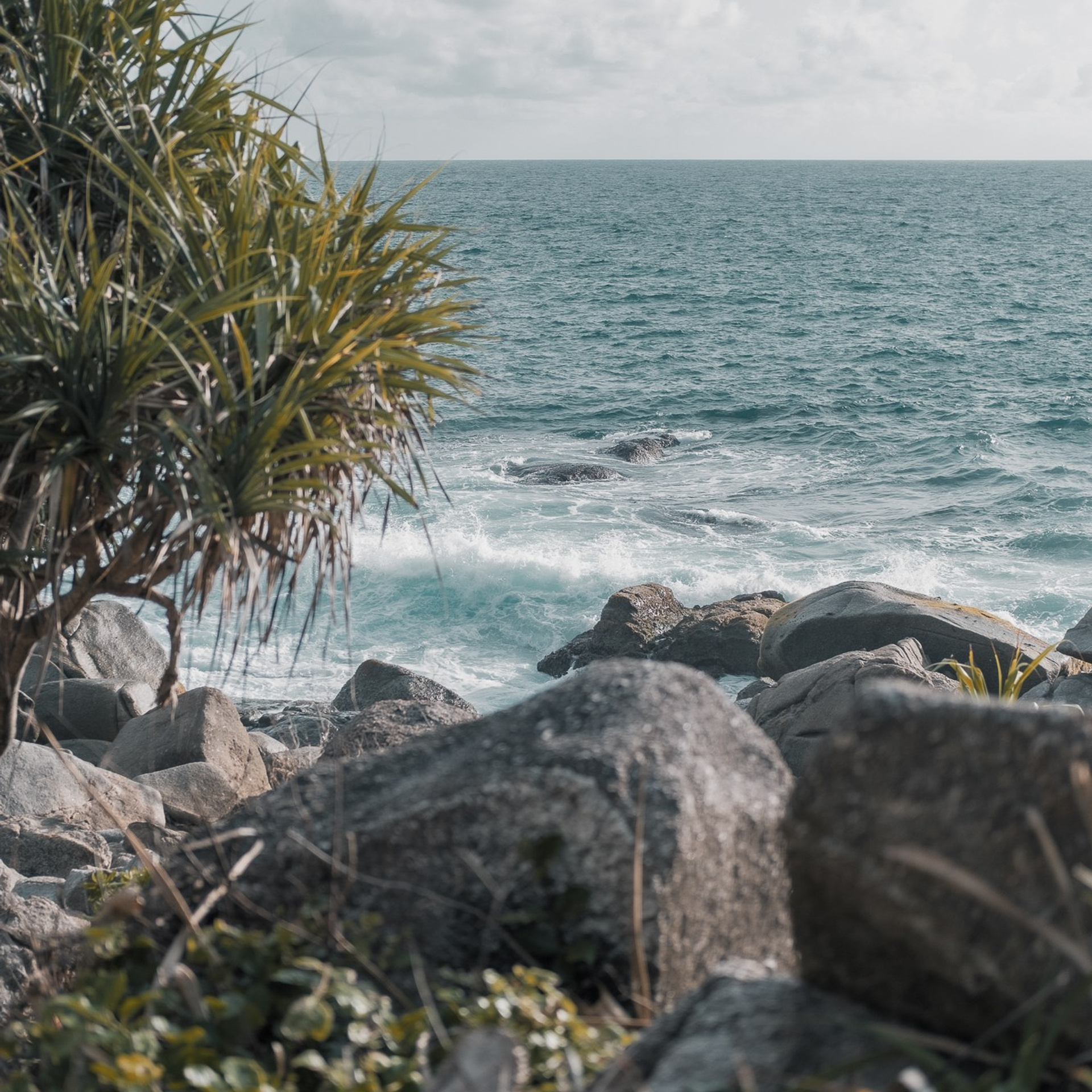 Коммерческая съёмка в Москве — фотограф и видеограф Давид Леман. Davidleman