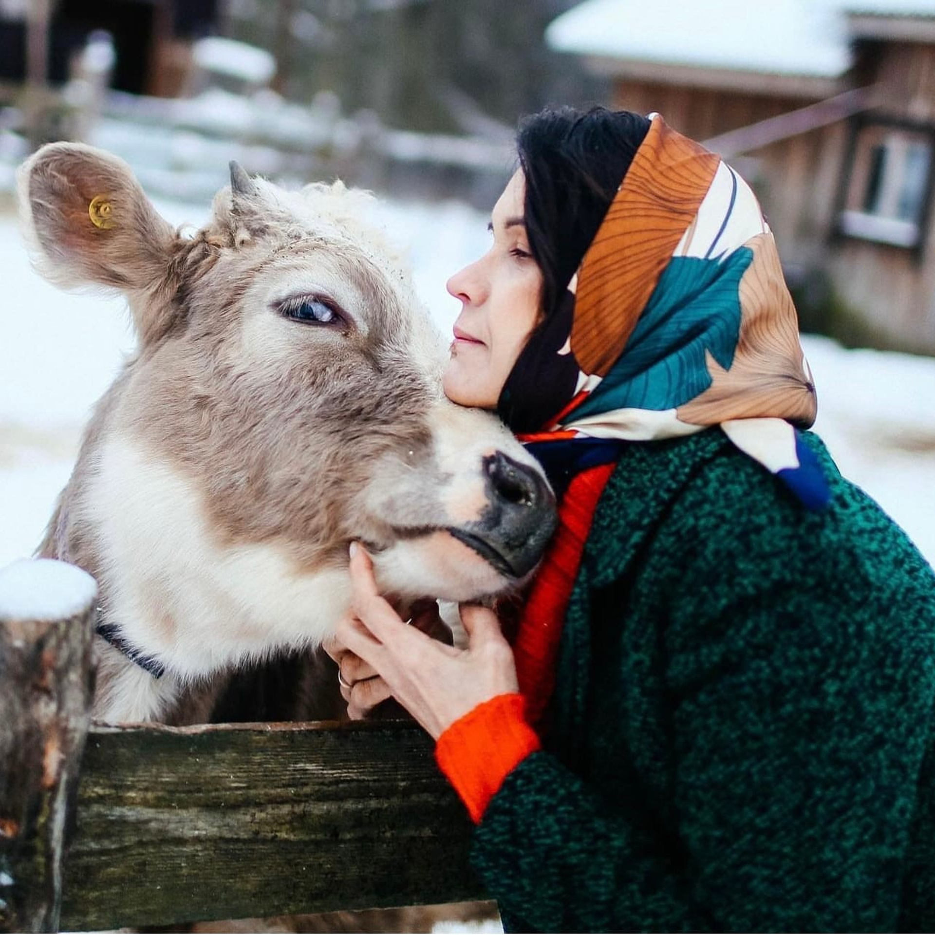 Отзывы клиентов, обратная связь. Твой снимок СПб