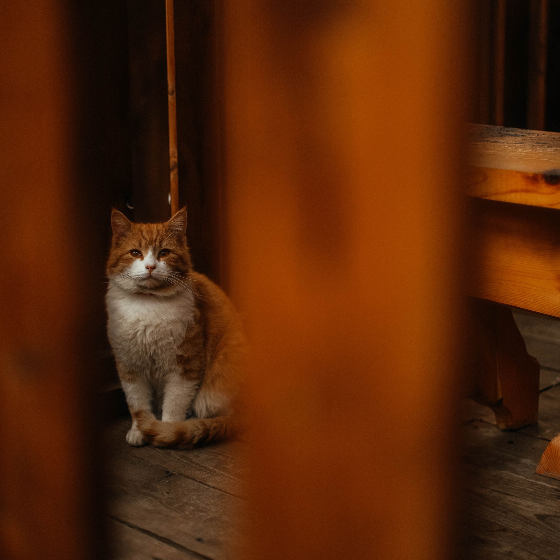 Отзывы клиентов, обратная связь. Твой снимок СПб