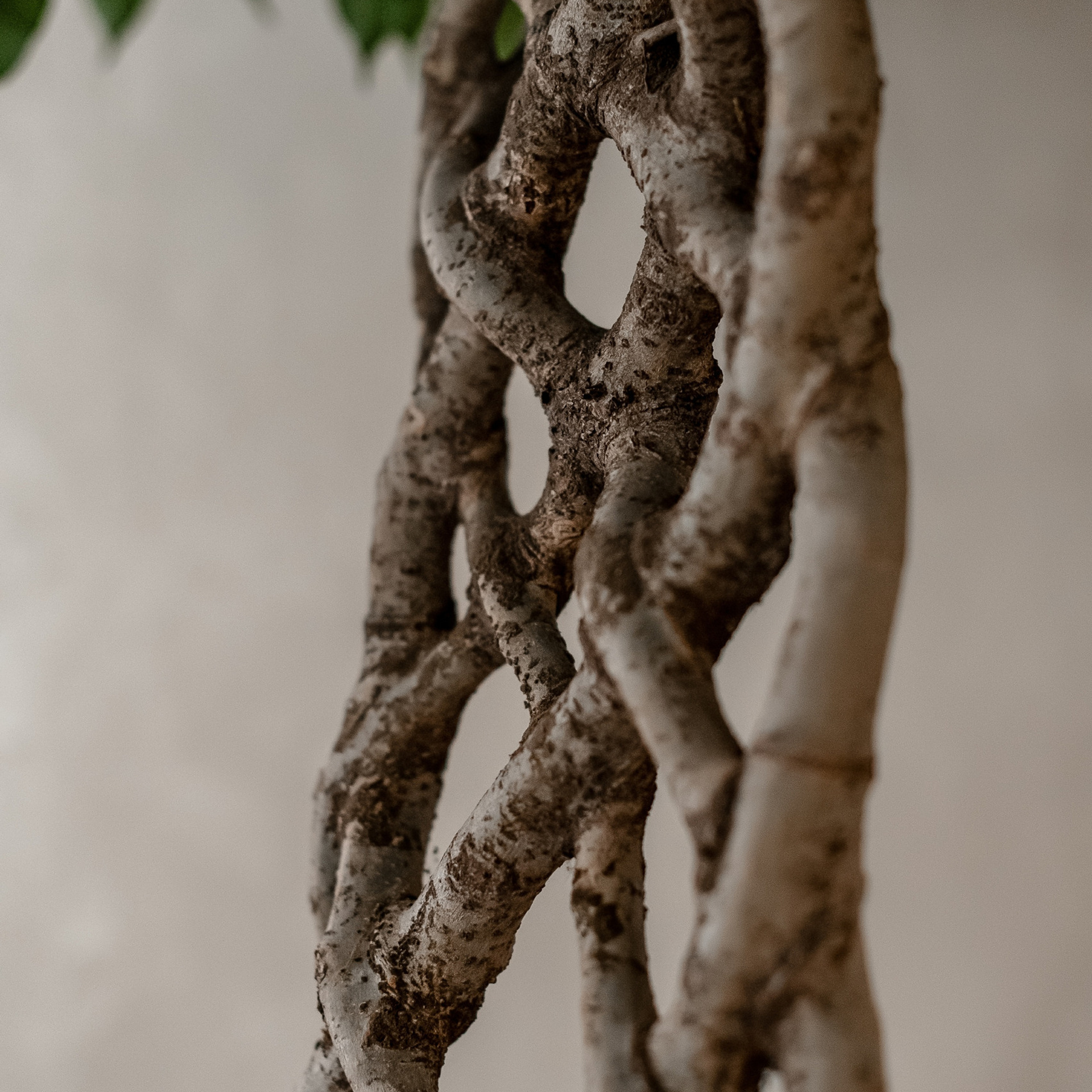 Отзывы. Фотограф Котова Валентина