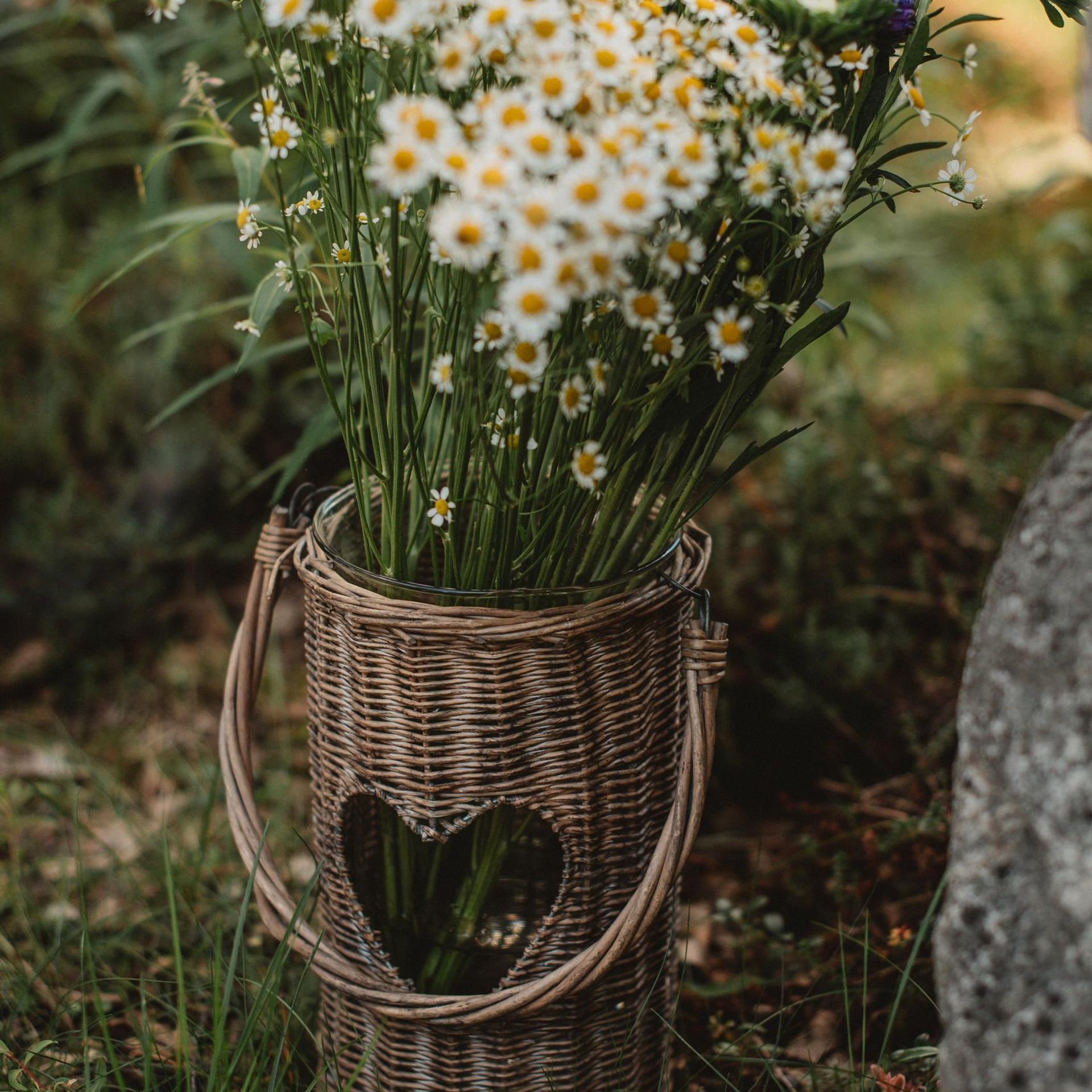 Ваши слова. Фотограф Наталья Могилевская Мурманск Териберка Сейдозеро Рыбачий