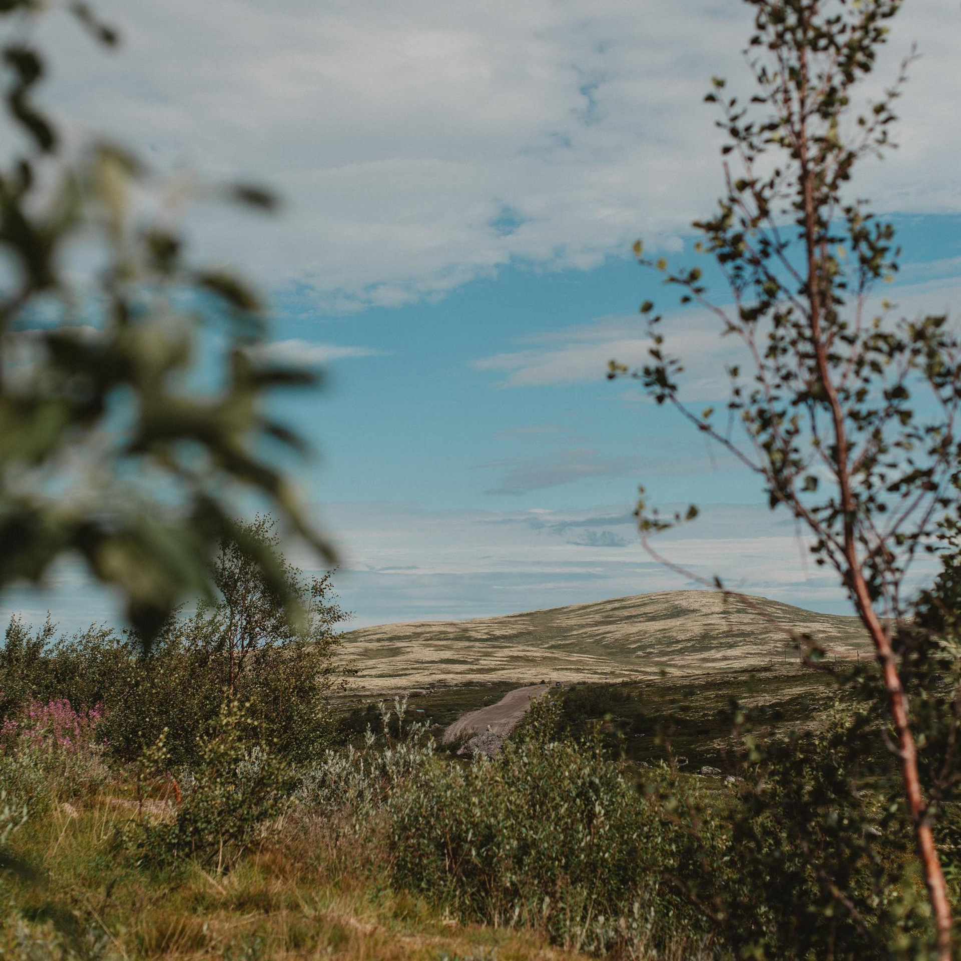 Ваши слова. Фотограф Наталья Могилевская Мурманск Териберка Сейдозеро Рыбачий