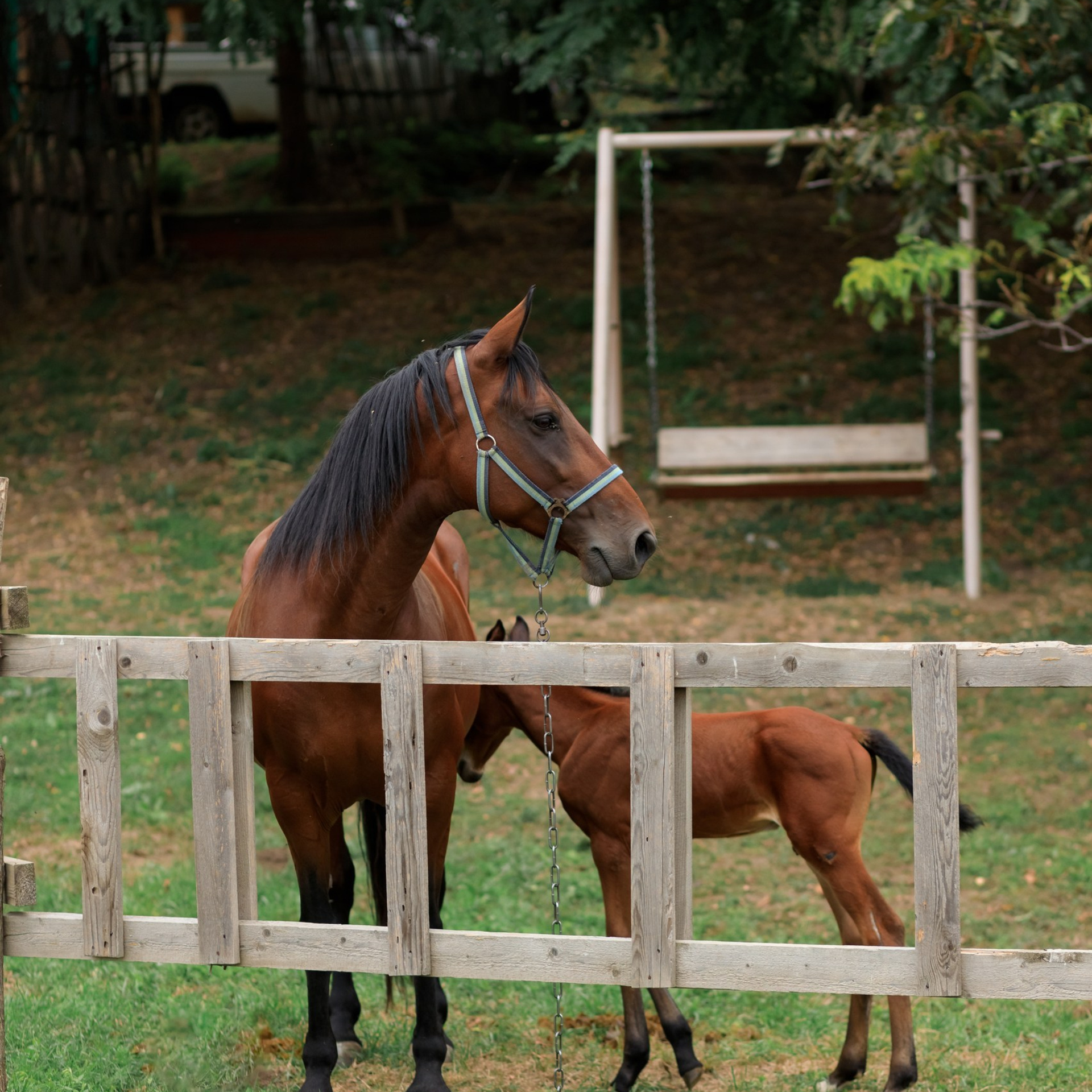 Отзывы. Детский и семейный фотограф в Краснодаре Альбина Морозова