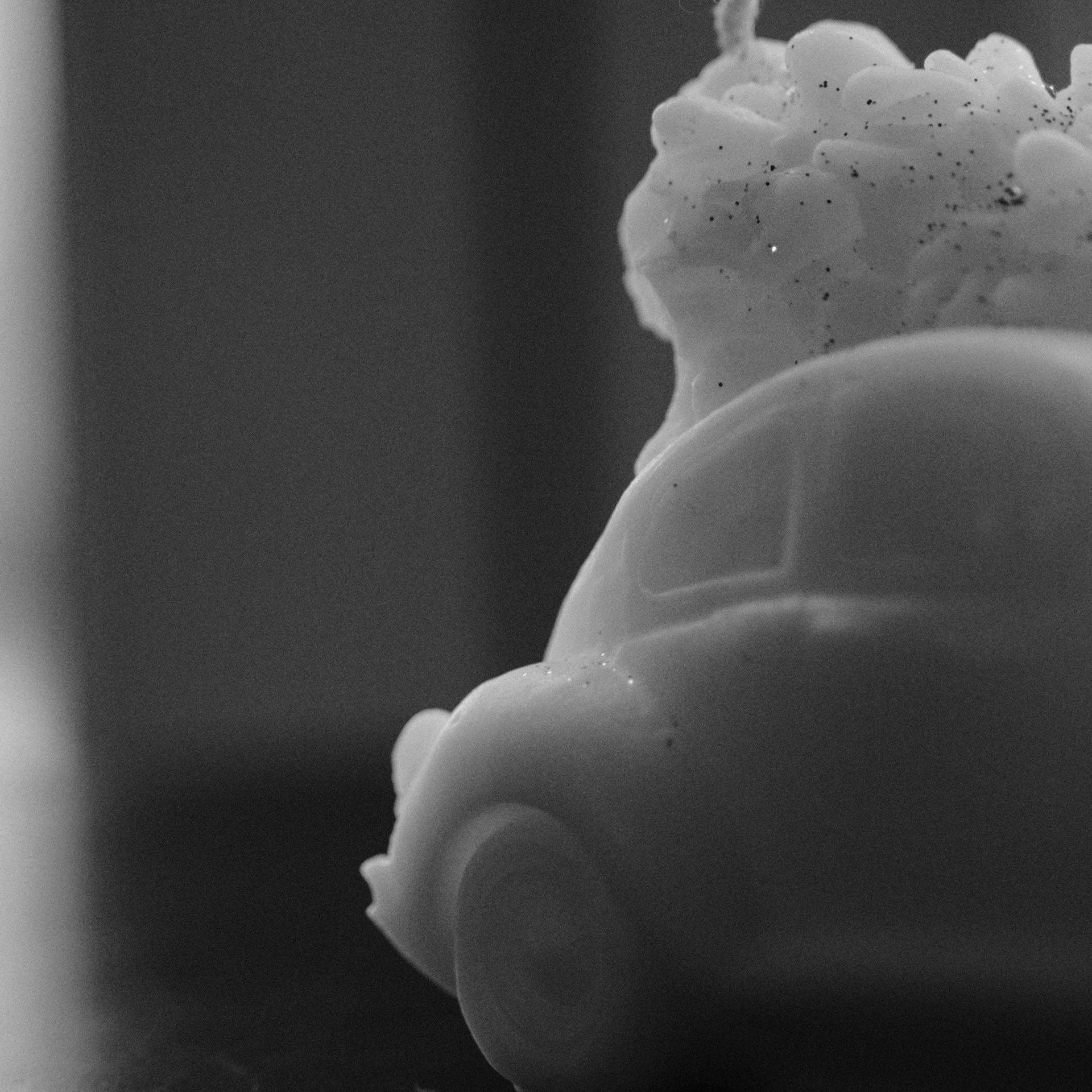 Ваши письма. Maria Sineva, photographer