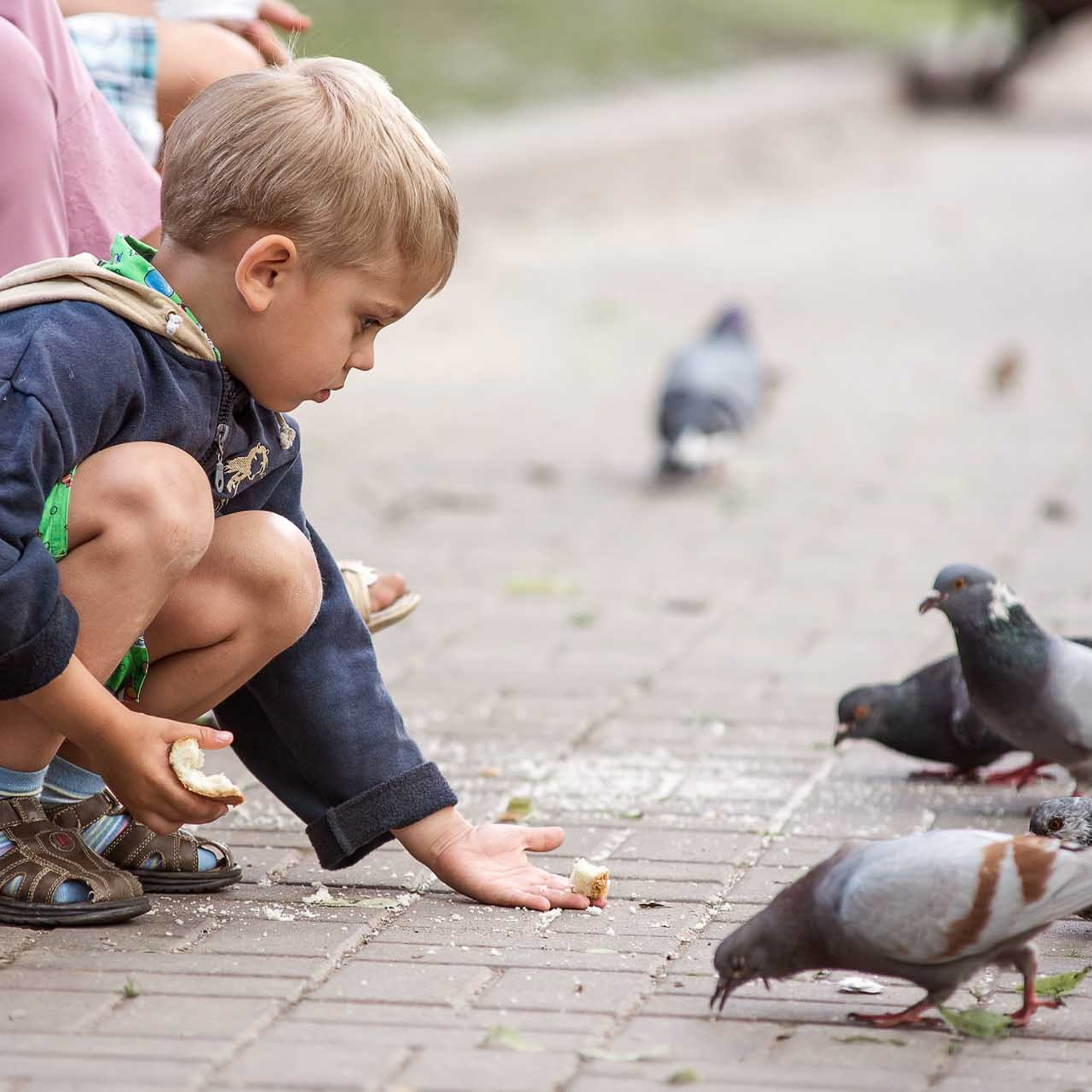 Фотосессия. Фотограф в Борисове видеосъемка Игорь Шушкевич