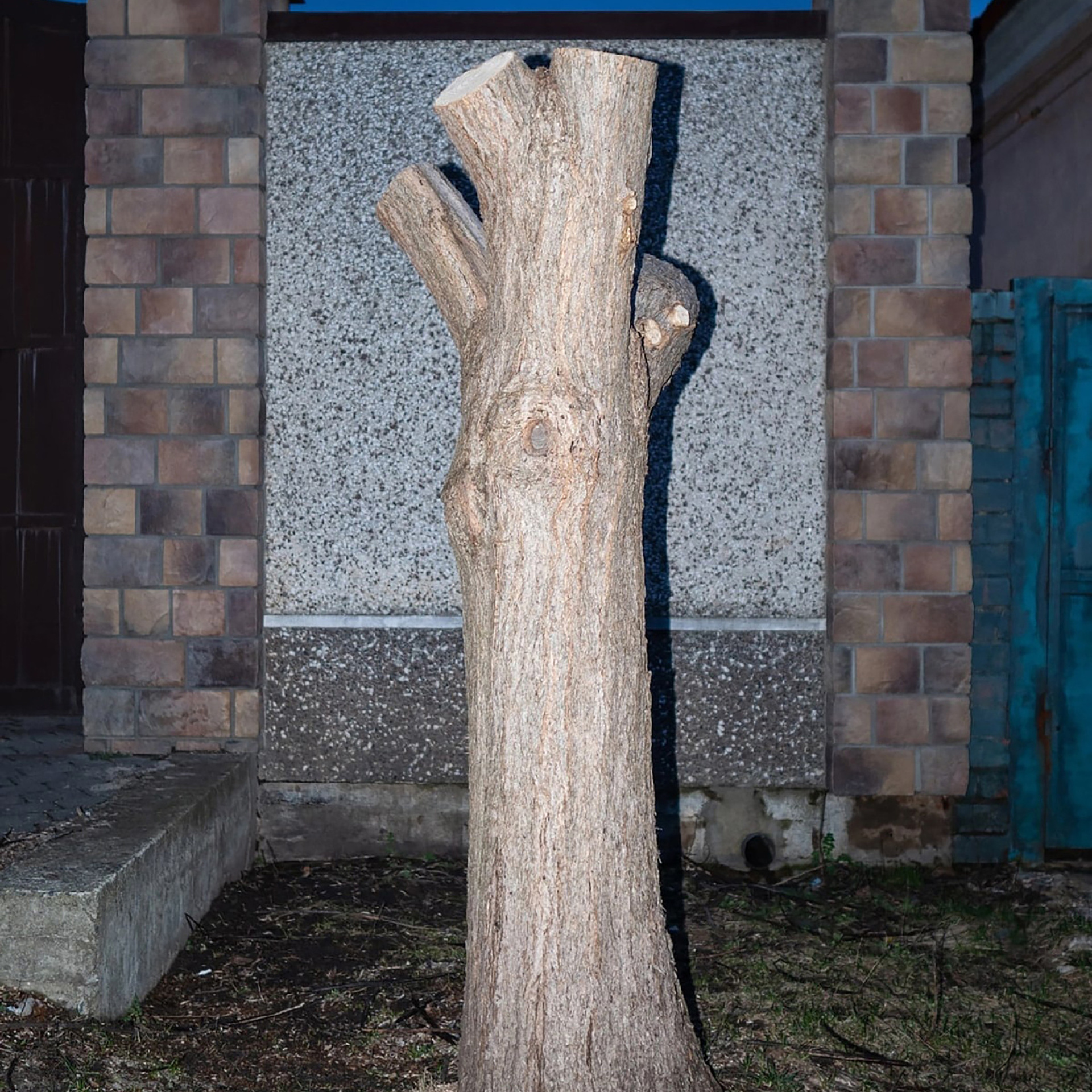 Трансформация. «ФотоСинтез»