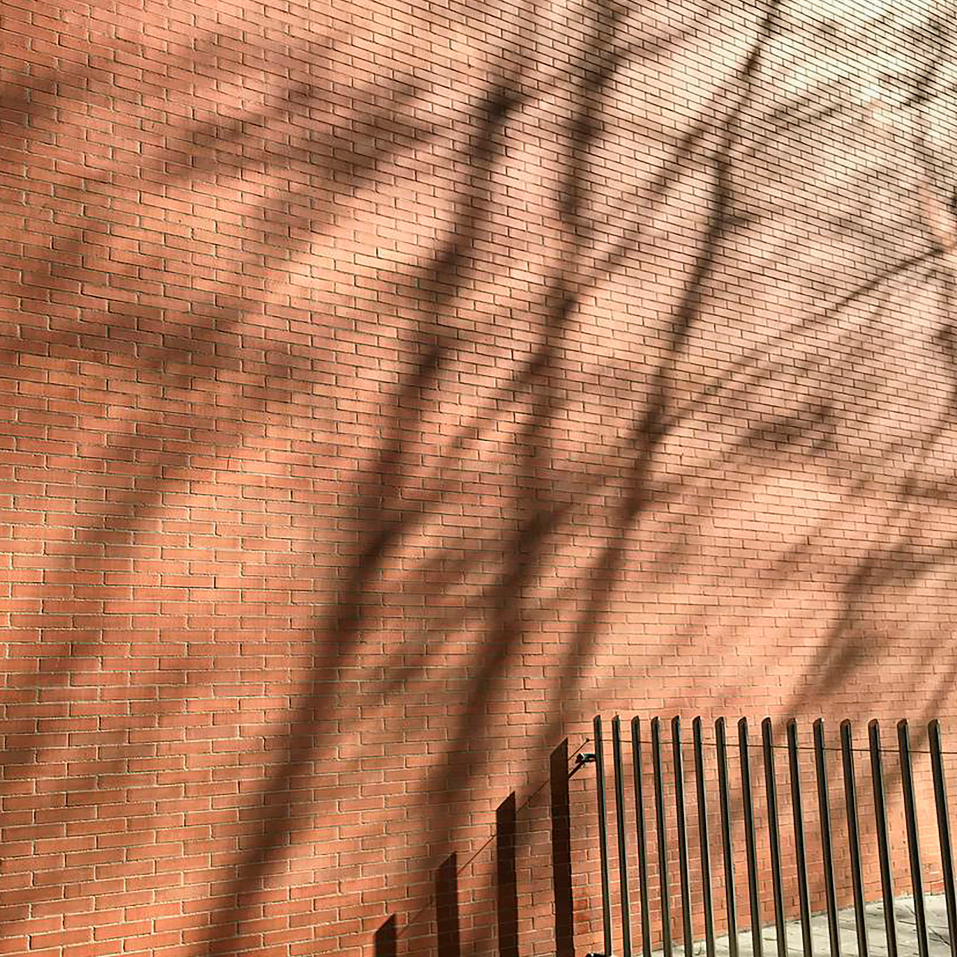 Трансформация. «ФотоСинтез»