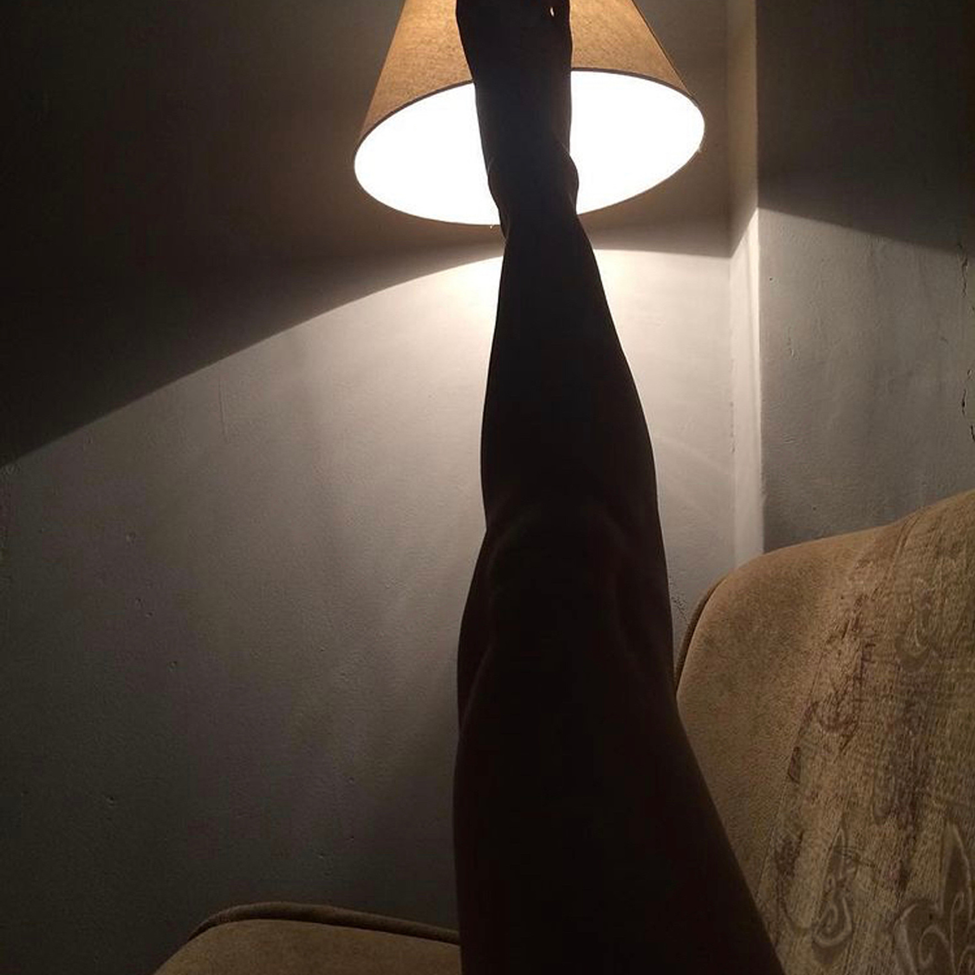 Трансформация. «ФотоСинтез»