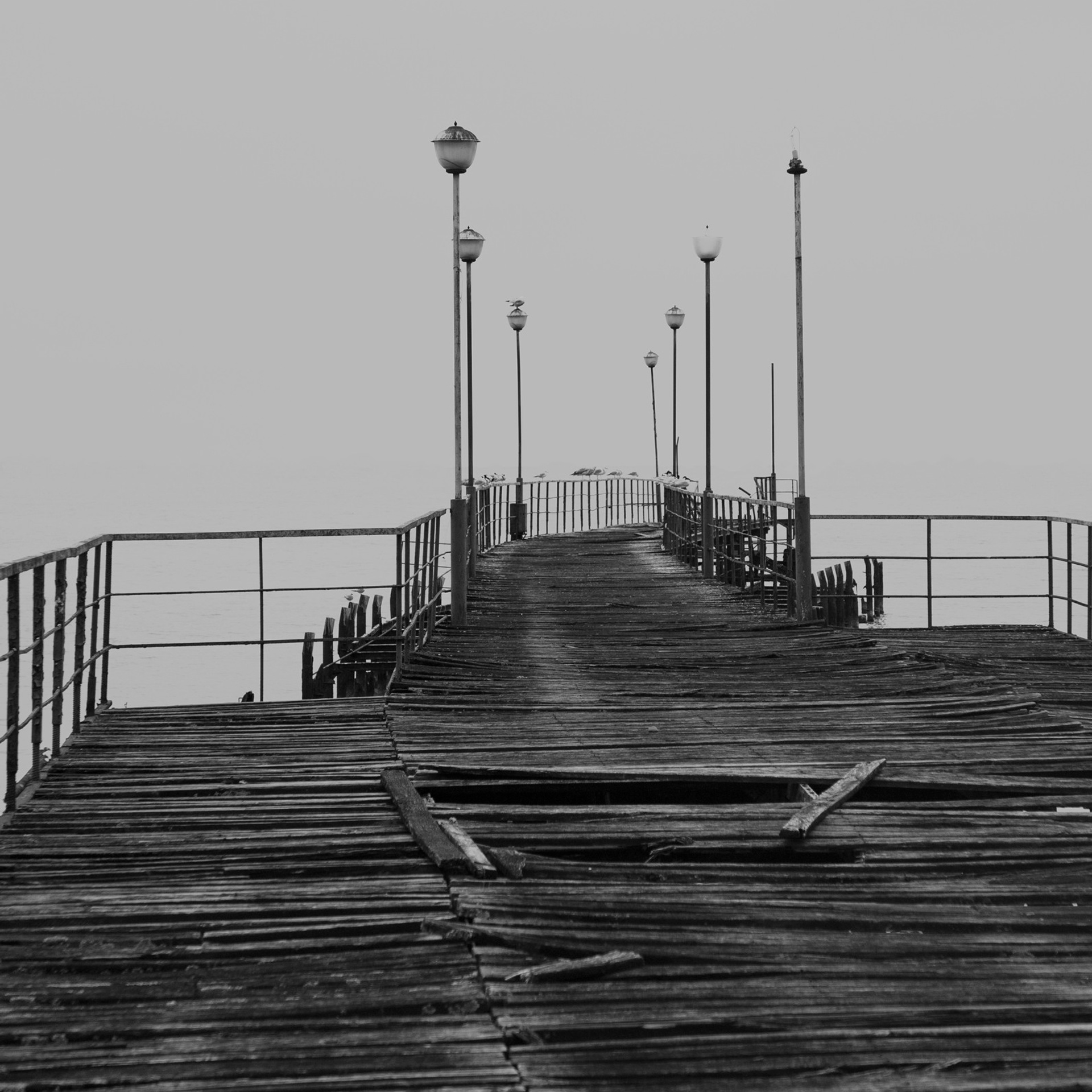 Трансформация. «ФотоСинтез»