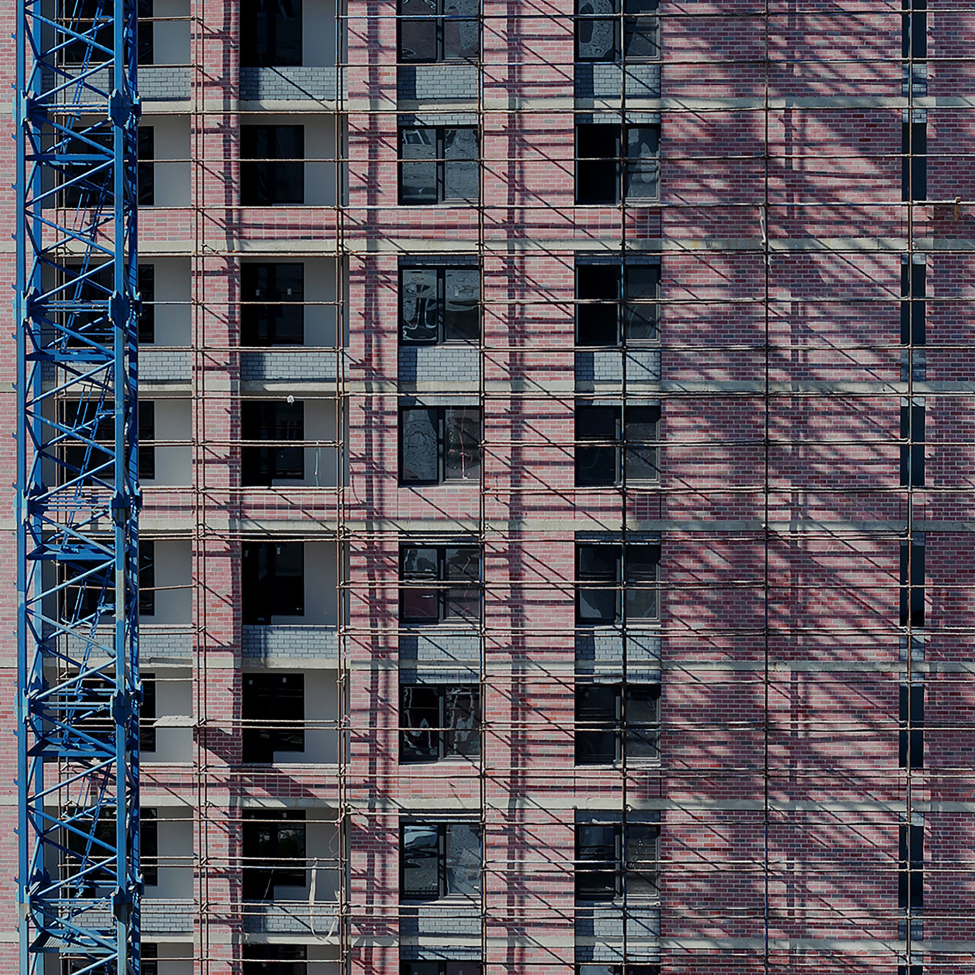 Трансформация. «ФотоСинтез»