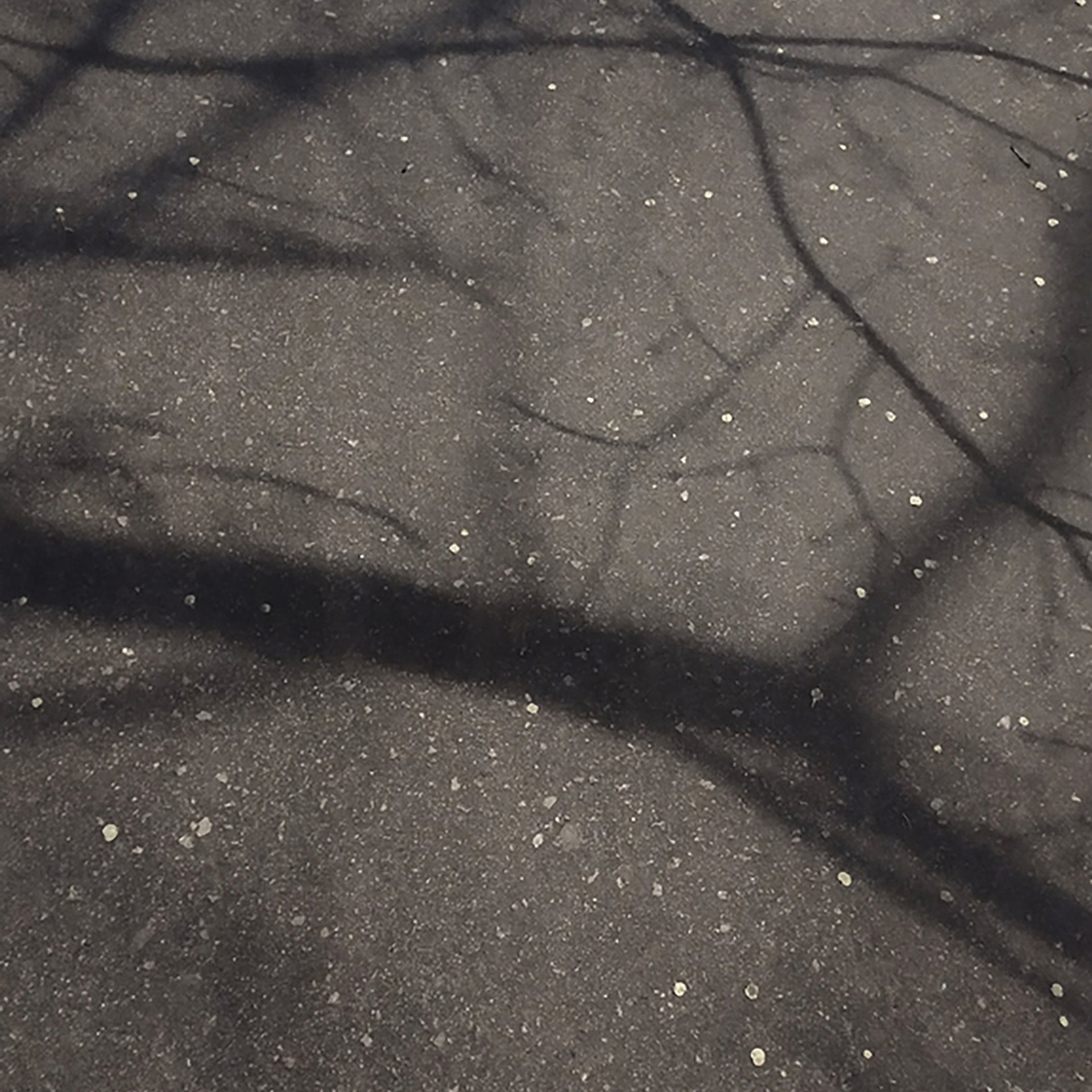 Трансформация. «ФотоСинтез»