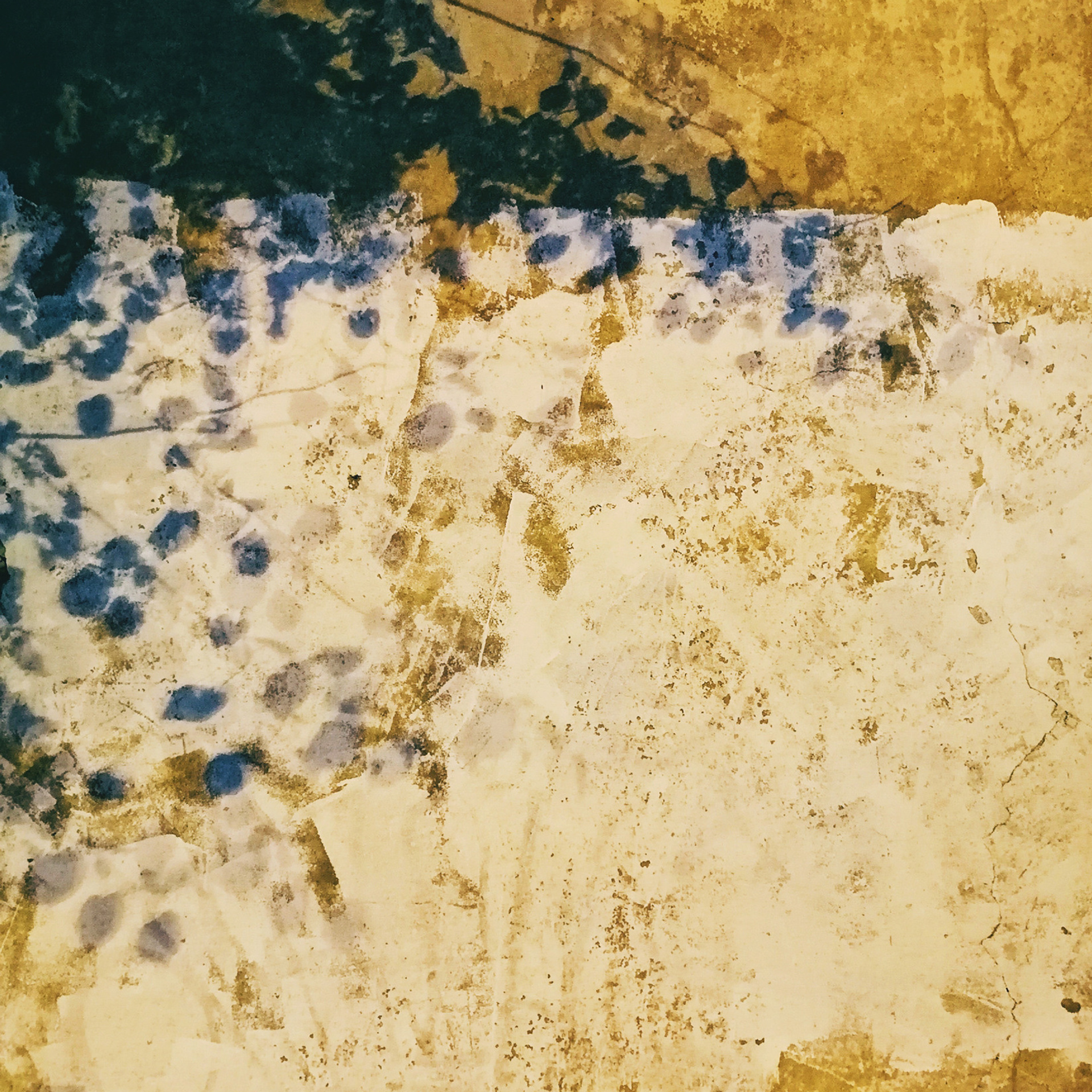 Трансформация. «ФотоСинтез»