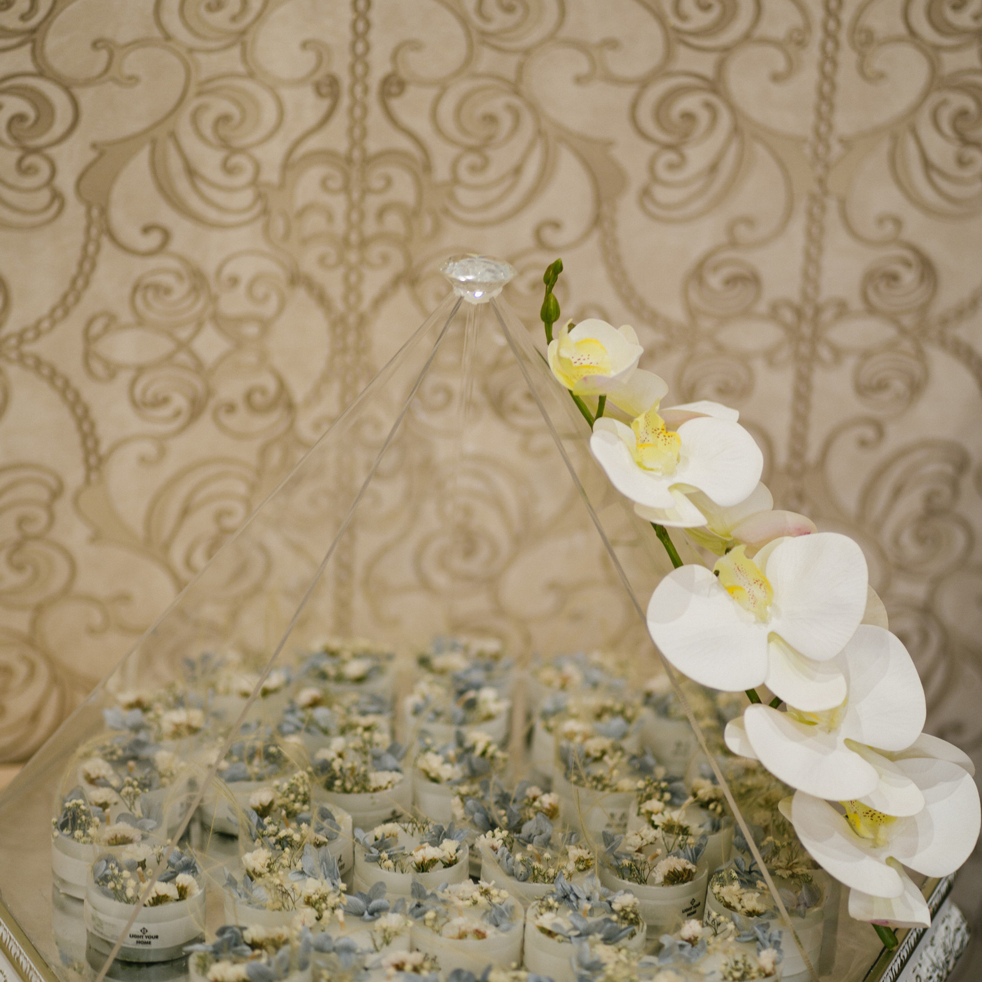 Отзывы. Свадебный фотограф