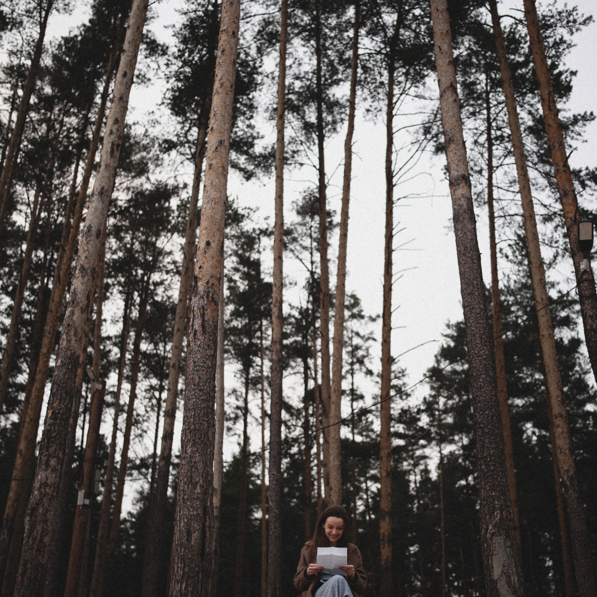 Воздух, сосны, три письма