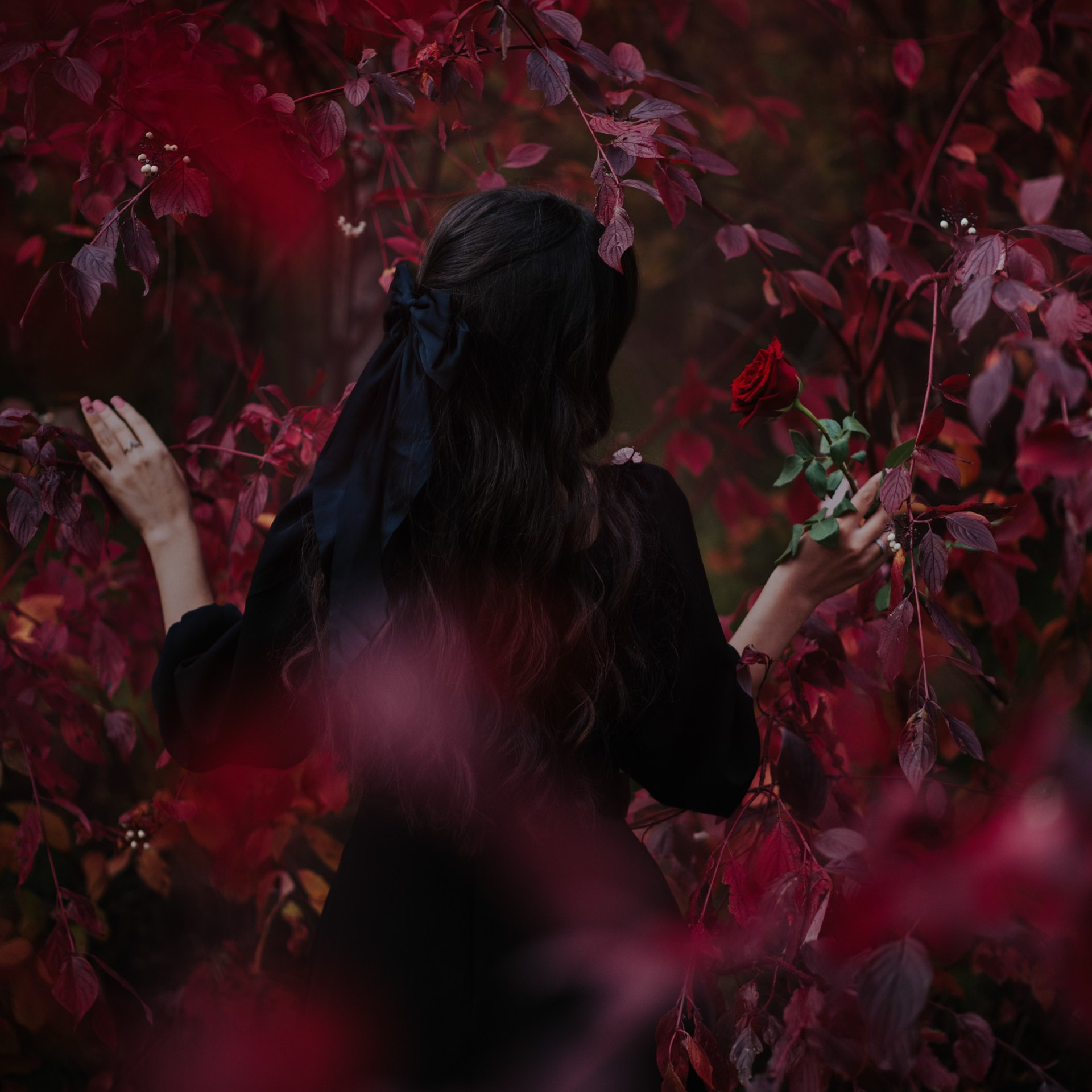 Отзывы. Фотограф Саша Горбаневич из Таксимо