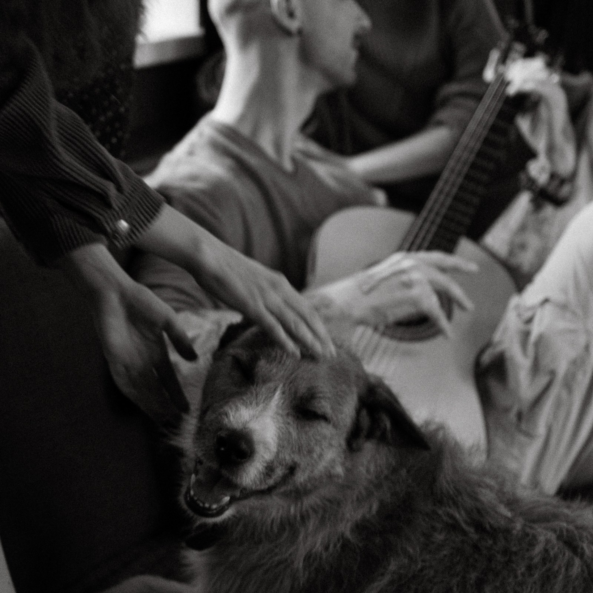 Франкенвини. Фотограф Daria Wilner