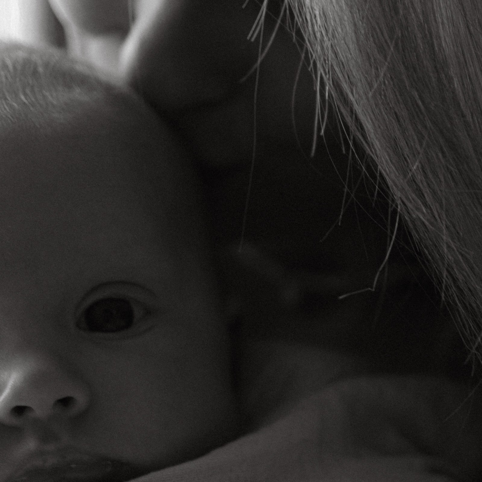 Сладкие пяточки. Фотограф Daria Wilner