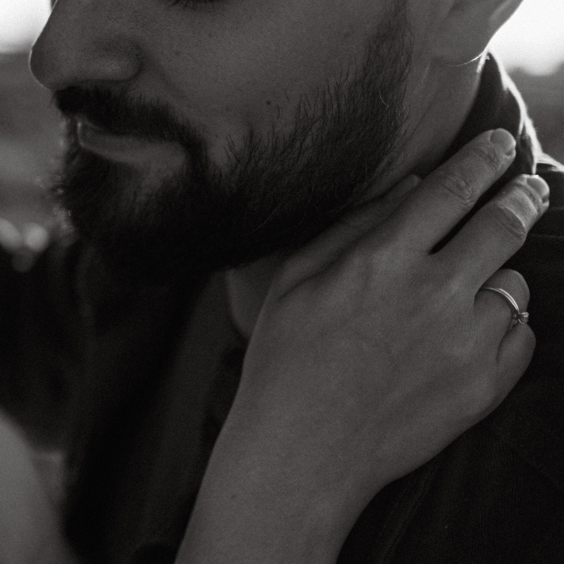 Дружелюбная овечка. Фотограф Daria Wilner