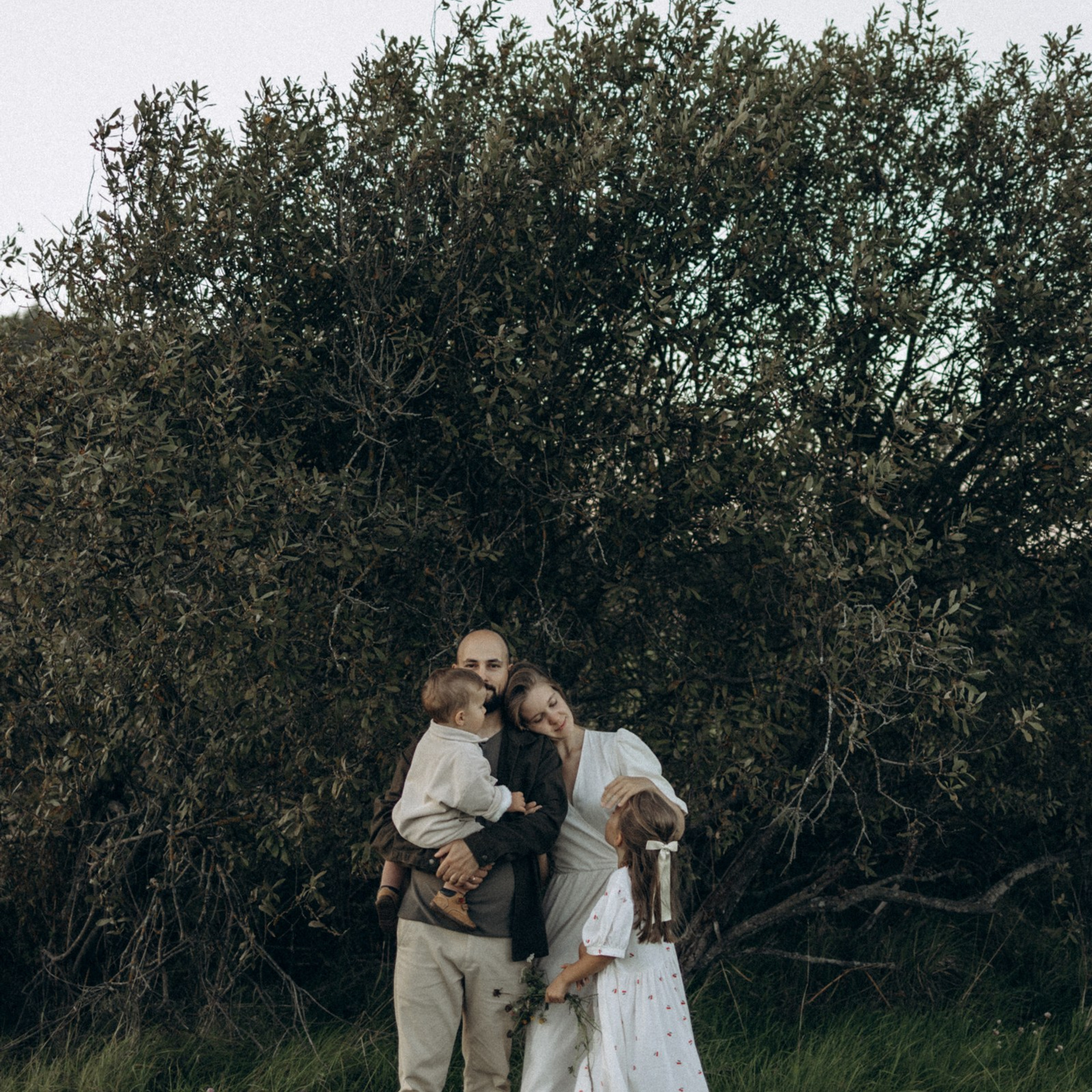 Дружелюбная овечка. Фотограф Daria Wilner