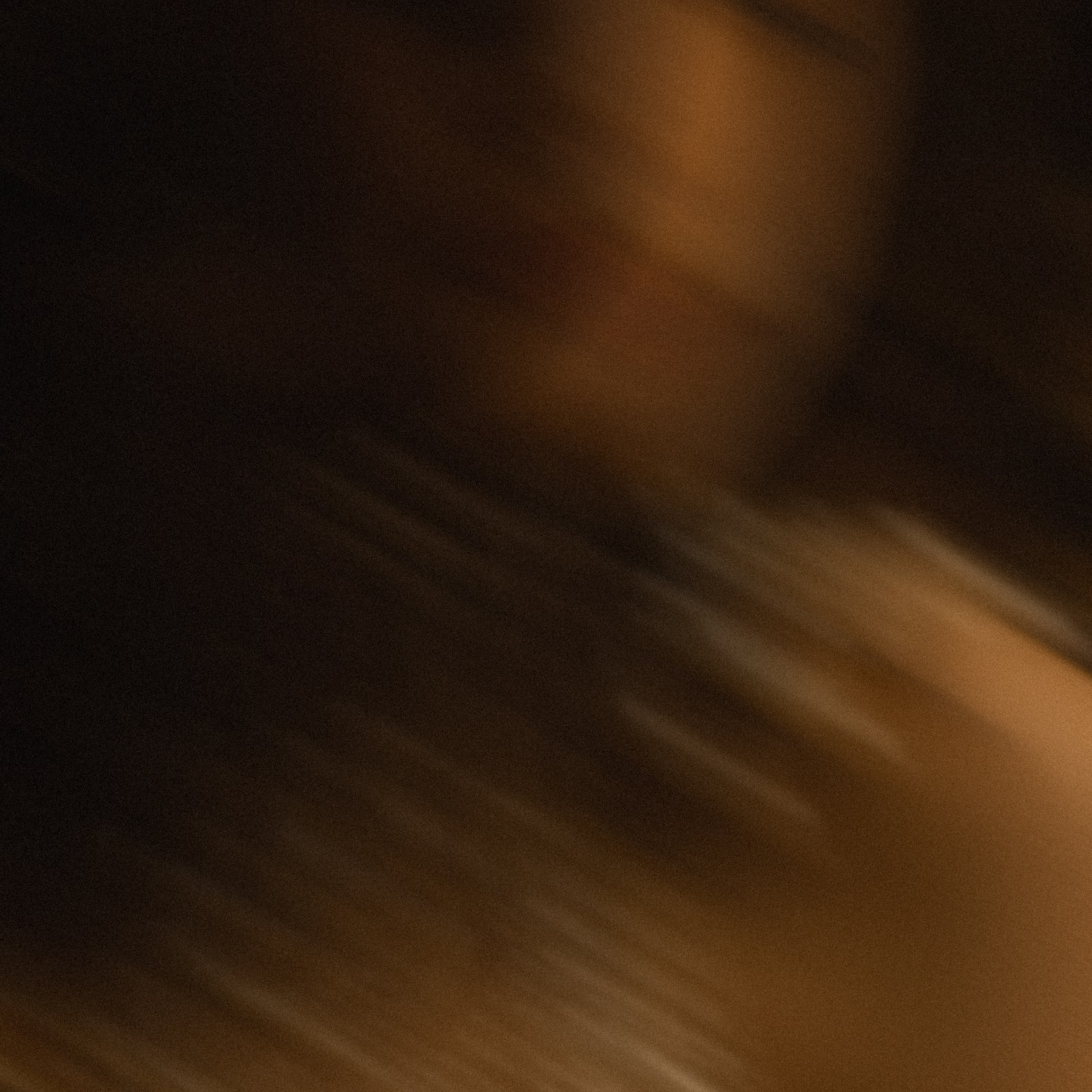 La Madeleine de Proust. Фотограф Daria Wilner