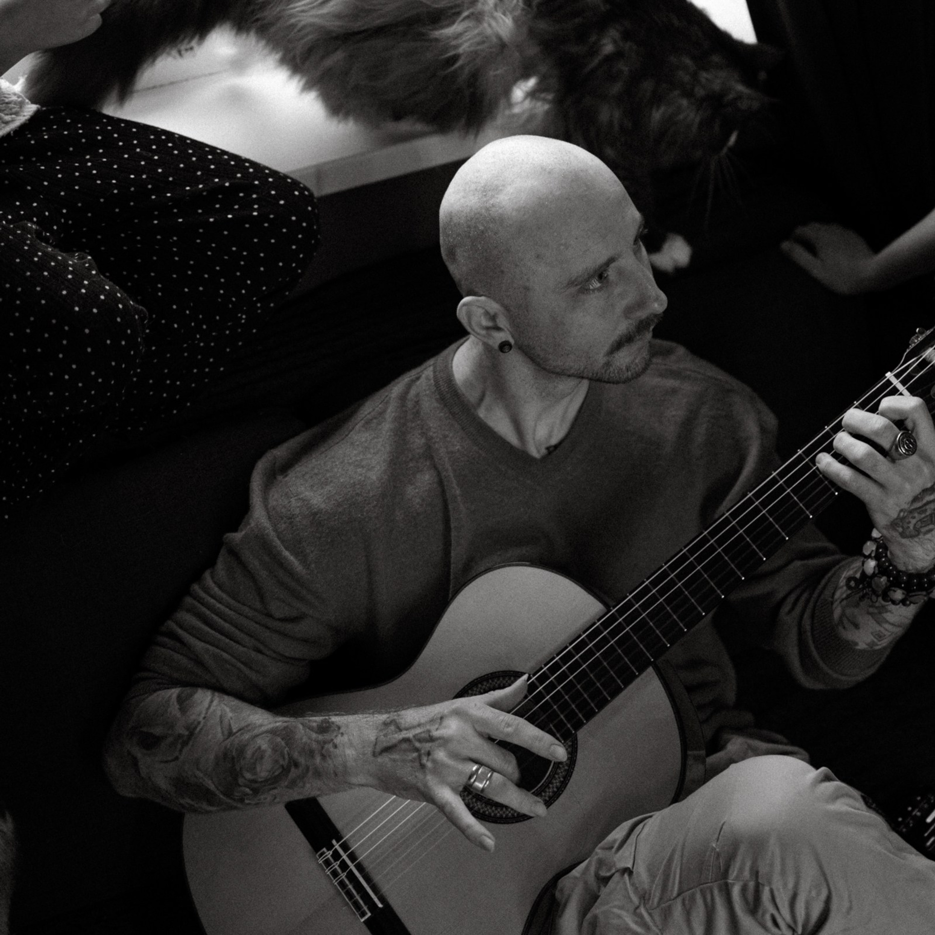 Франкенвини. Фотограф Daria Wilner