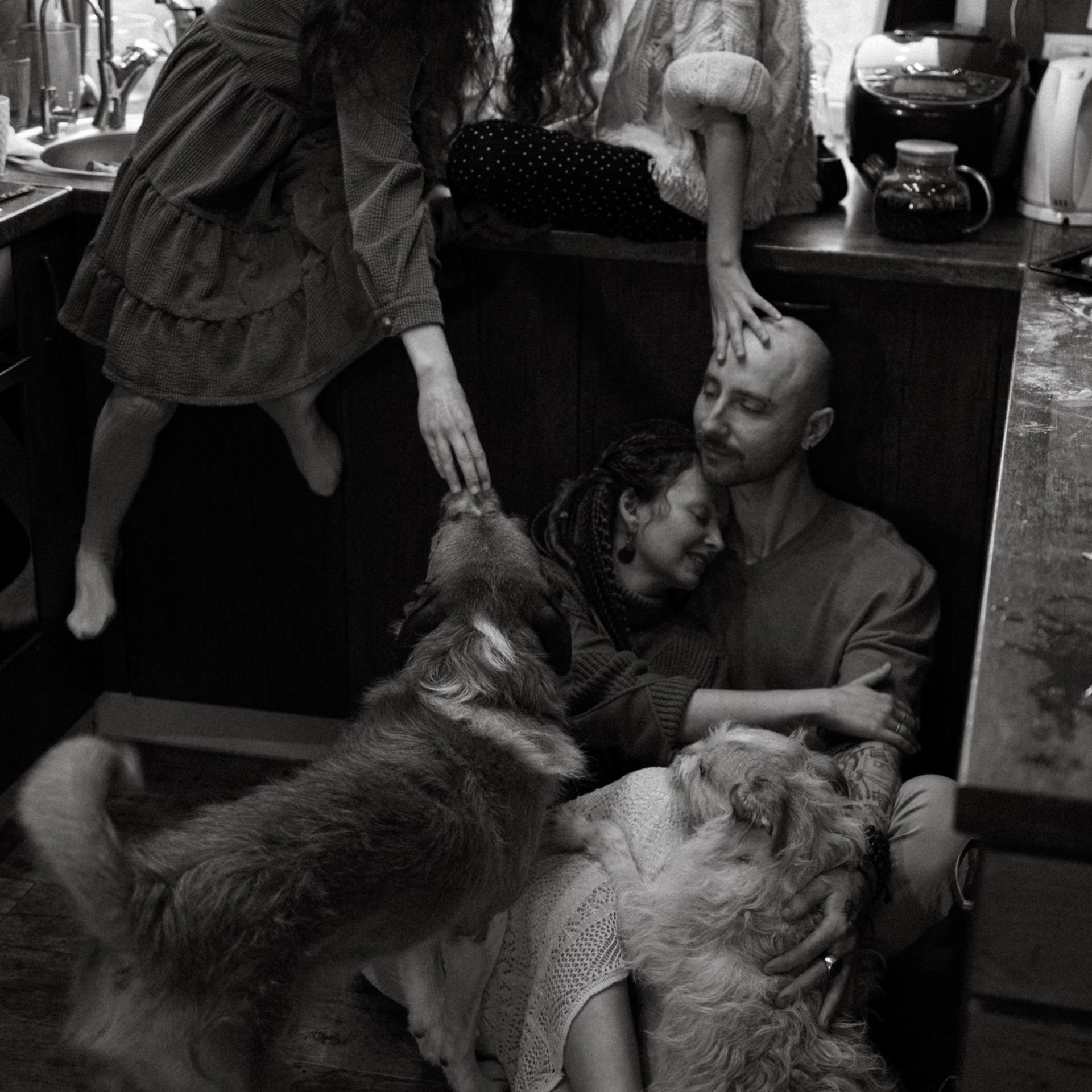 Франкенвини. Фотограф Daria Wilner