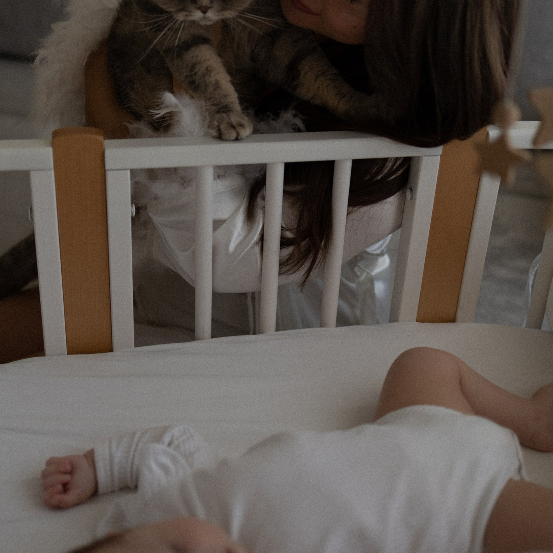 Усатый нянь. Фотограф Daria Wilner