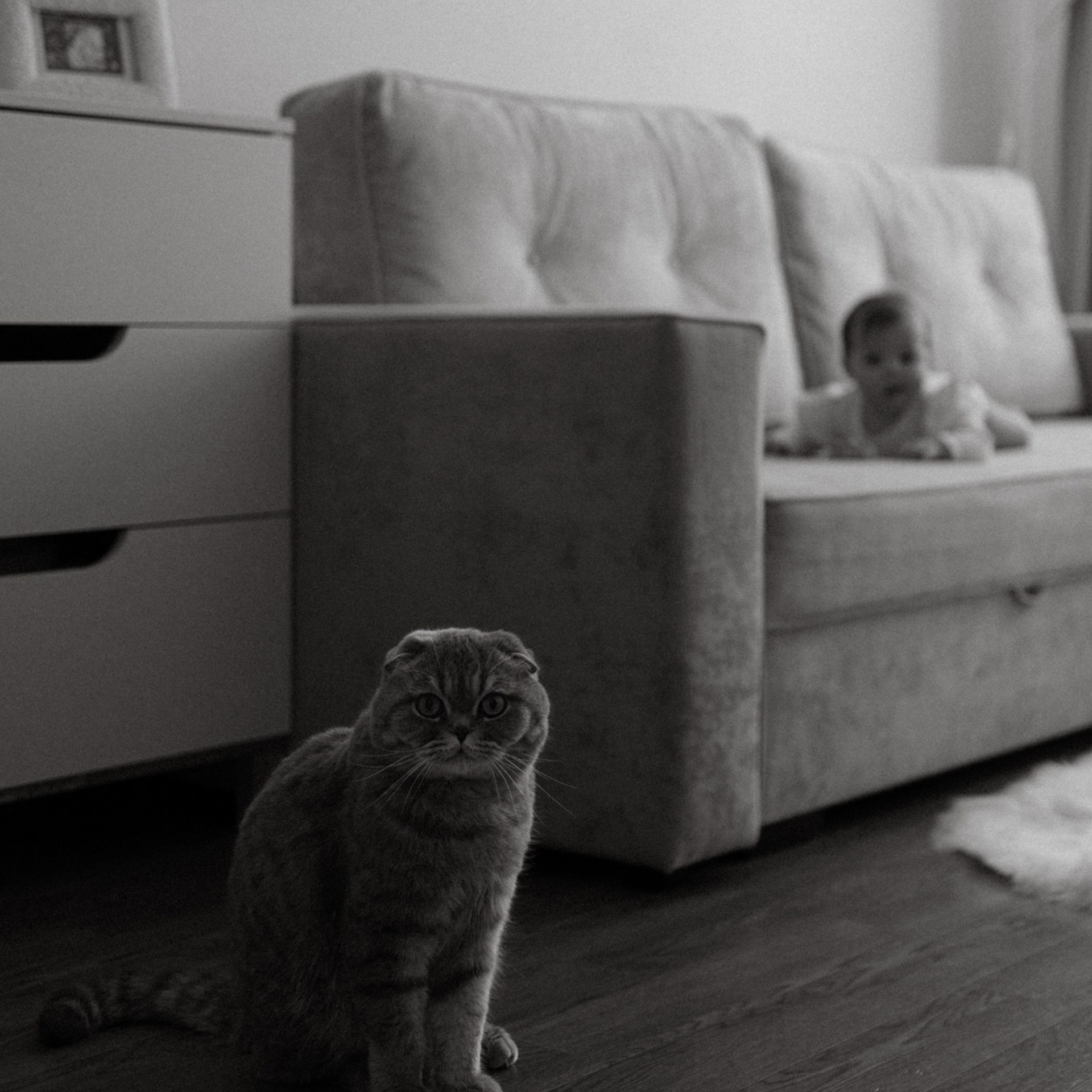 Усатый нянь. Фотограф Daria Wilner