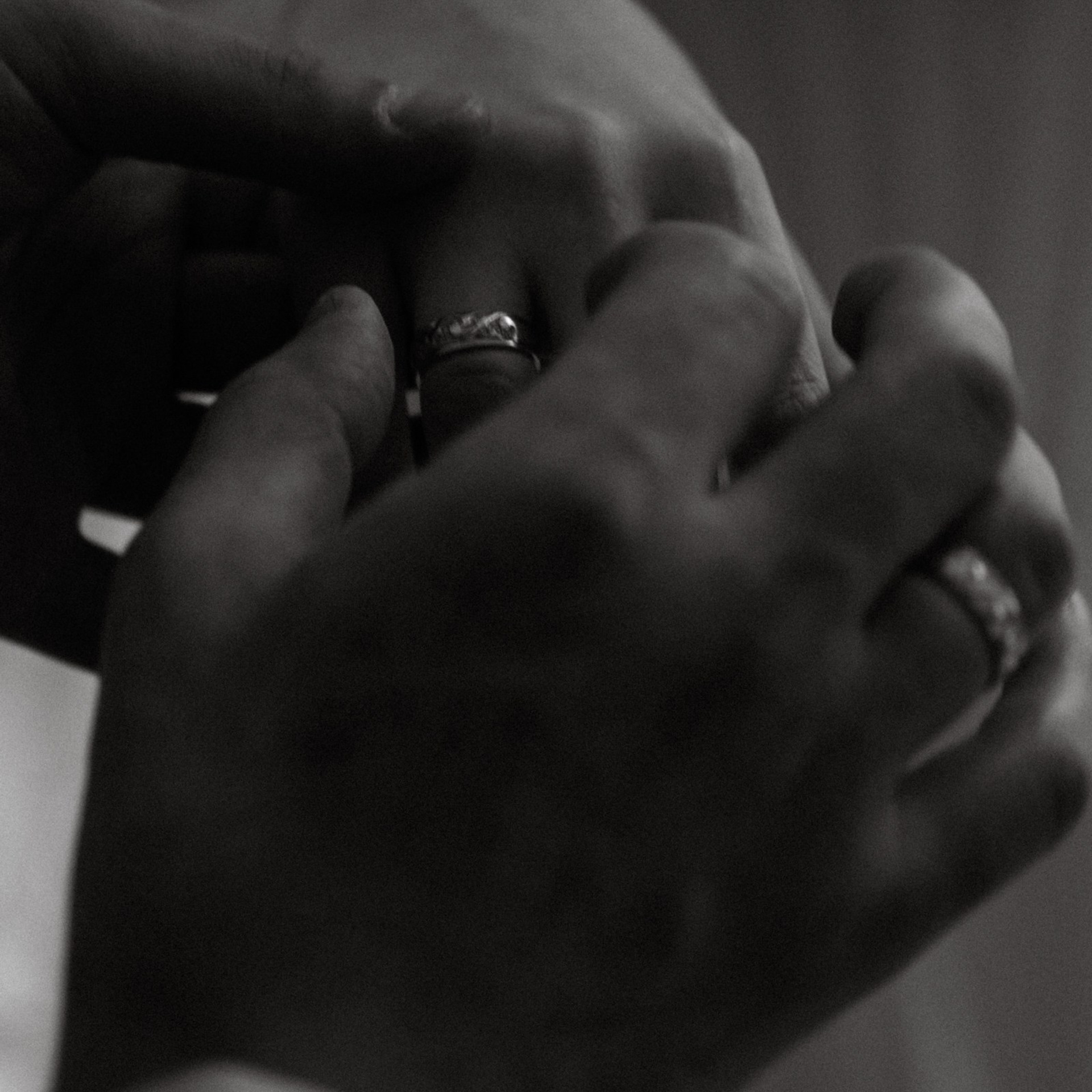 La Madeleine de Proust. Фотограф Daria Wilner