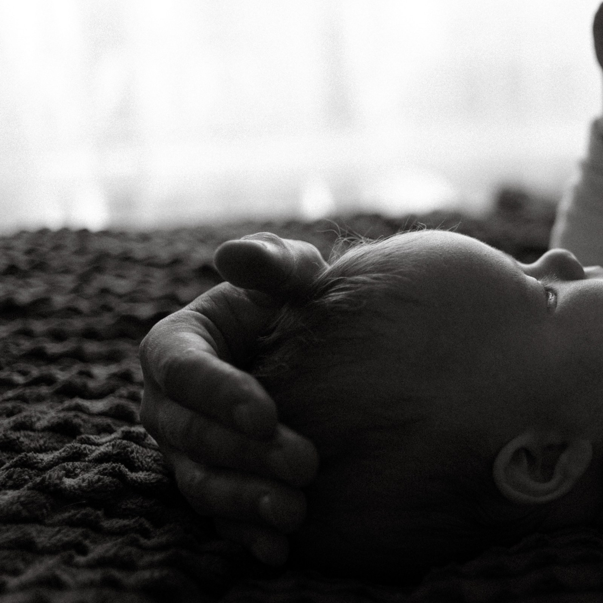 Тепло. Фотограф Daria Wilner