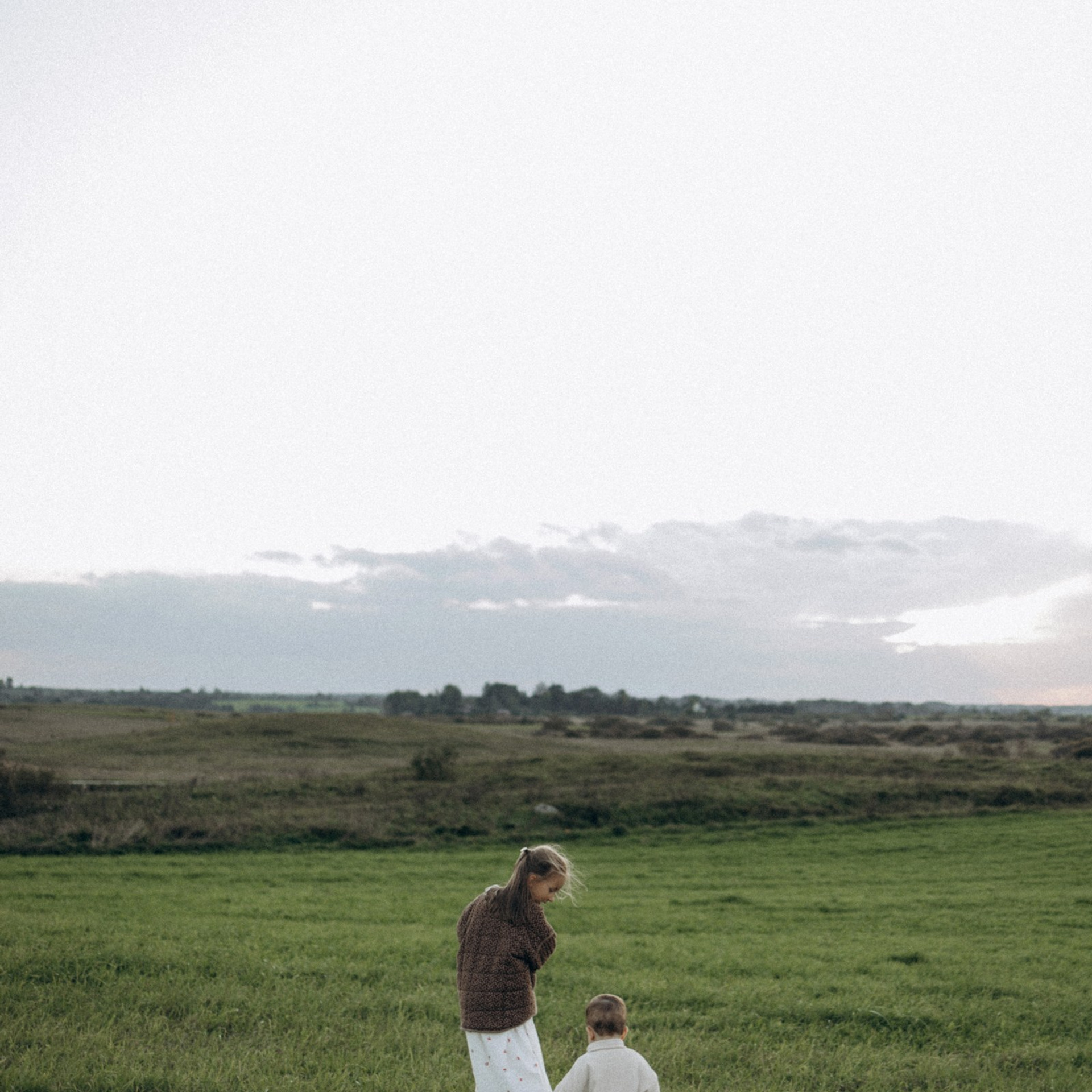 Дружелюбная овечка. Фотограф Daria Wilner