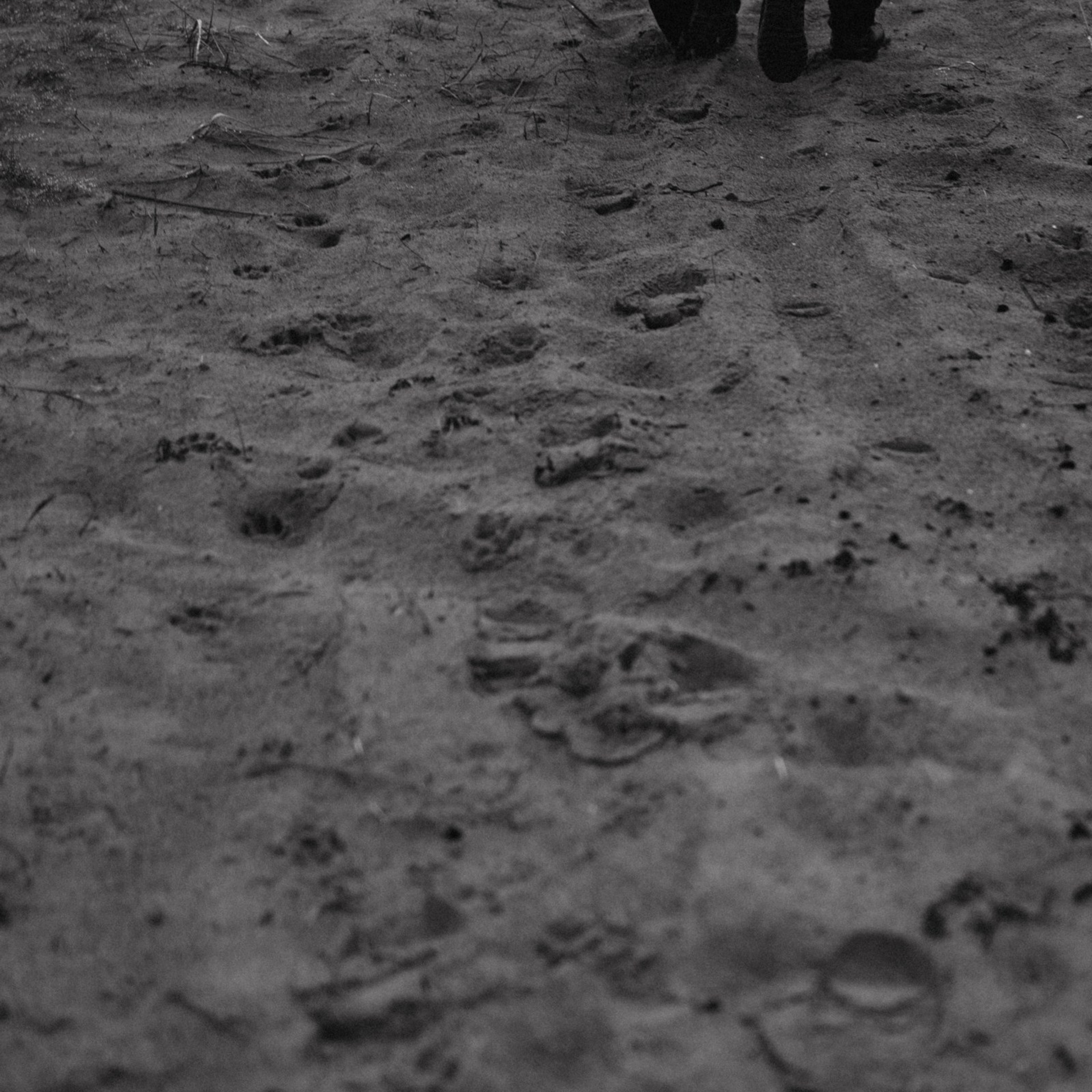 К Чуду. Фотограф Daria Wilner