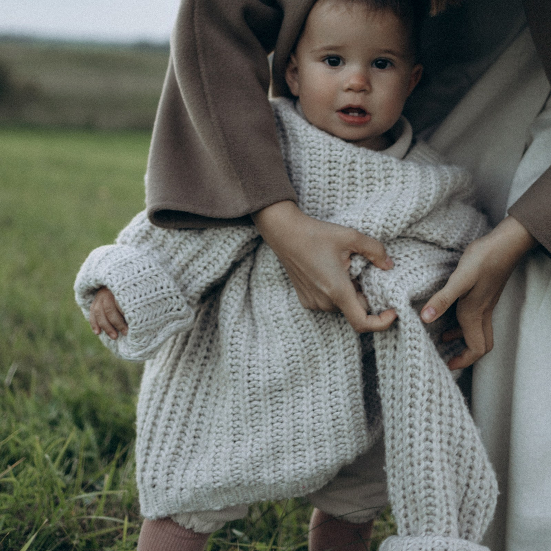 Дружелюбная овечка. Фотограф Daria Wilner