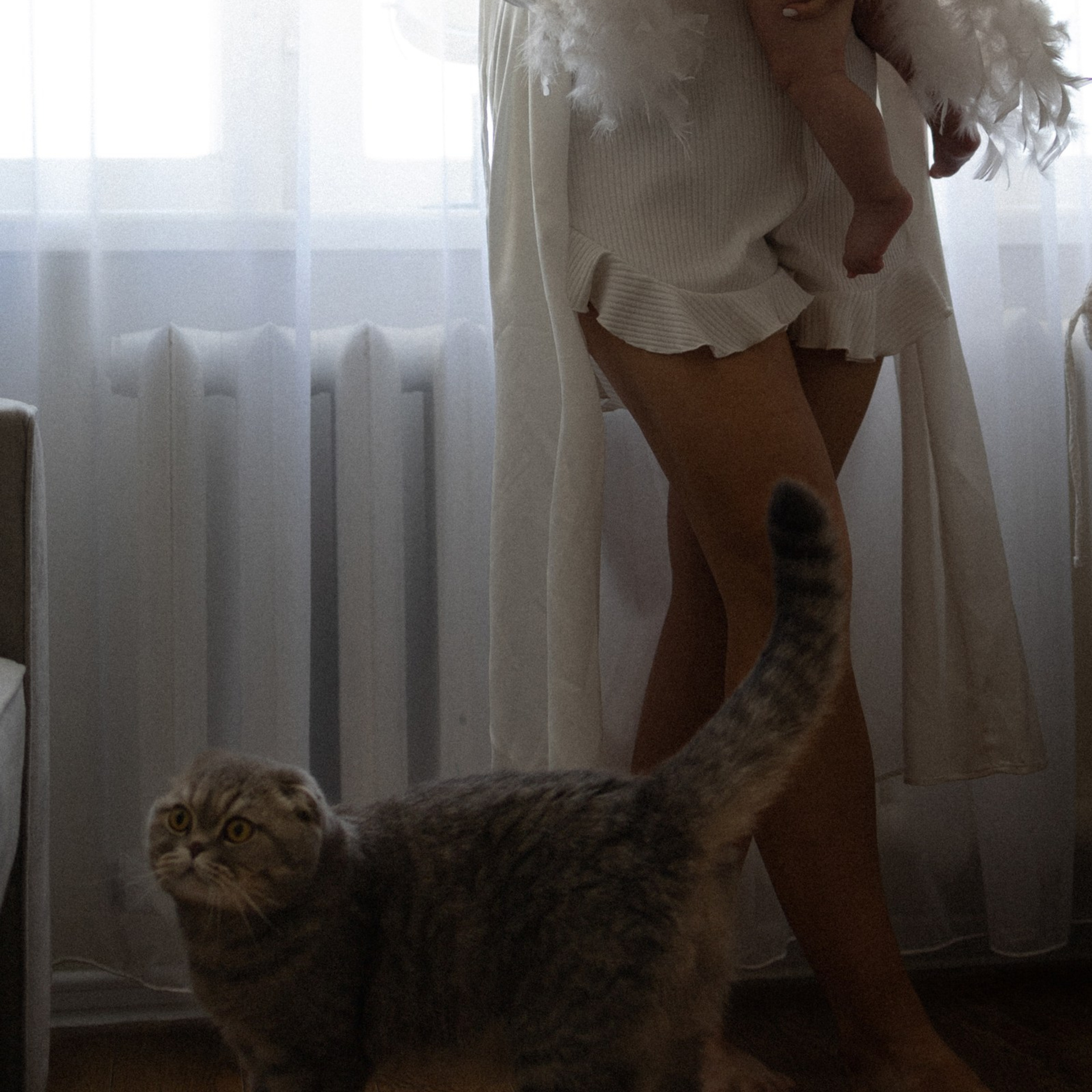 Усатый нянь. Фотограф Daria Wilner