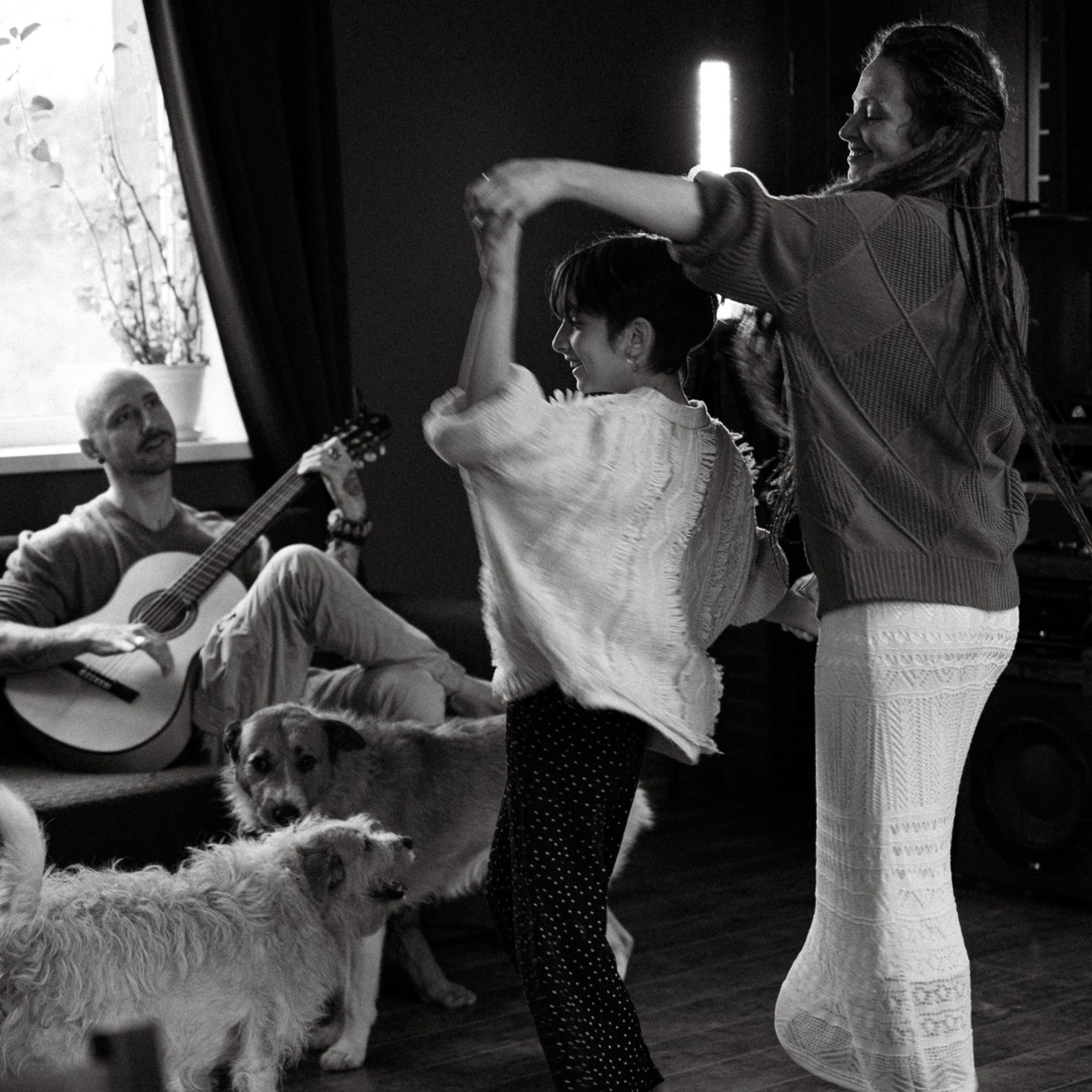 Франкенвини. Фотограф Daria Wilner