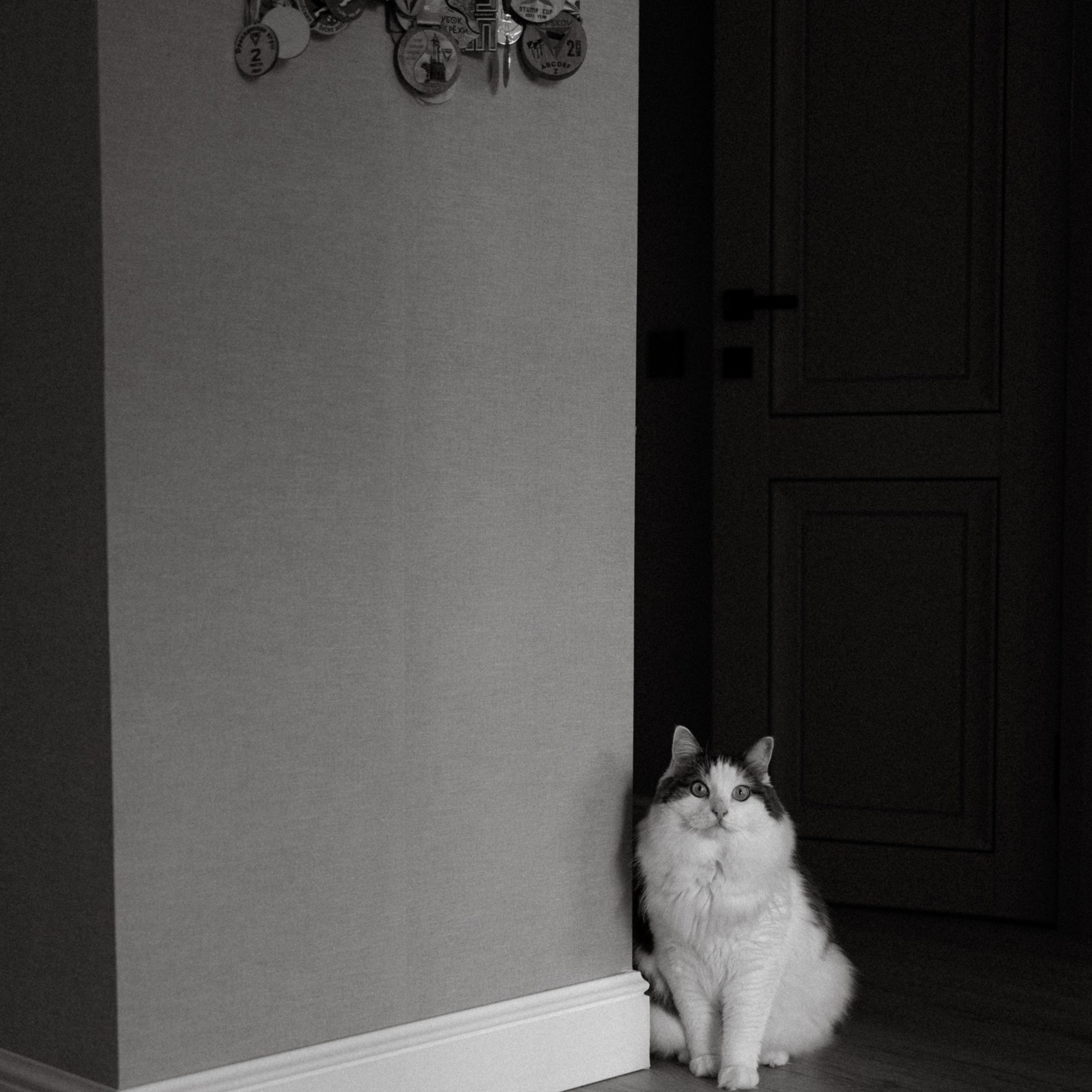 Бегущие айтишники. Фотограф Daria Wilner