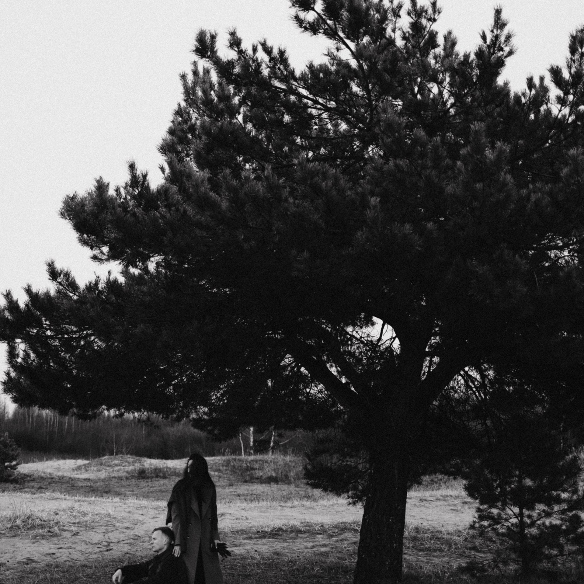 К Чуду. Фотограф Daria Wilner