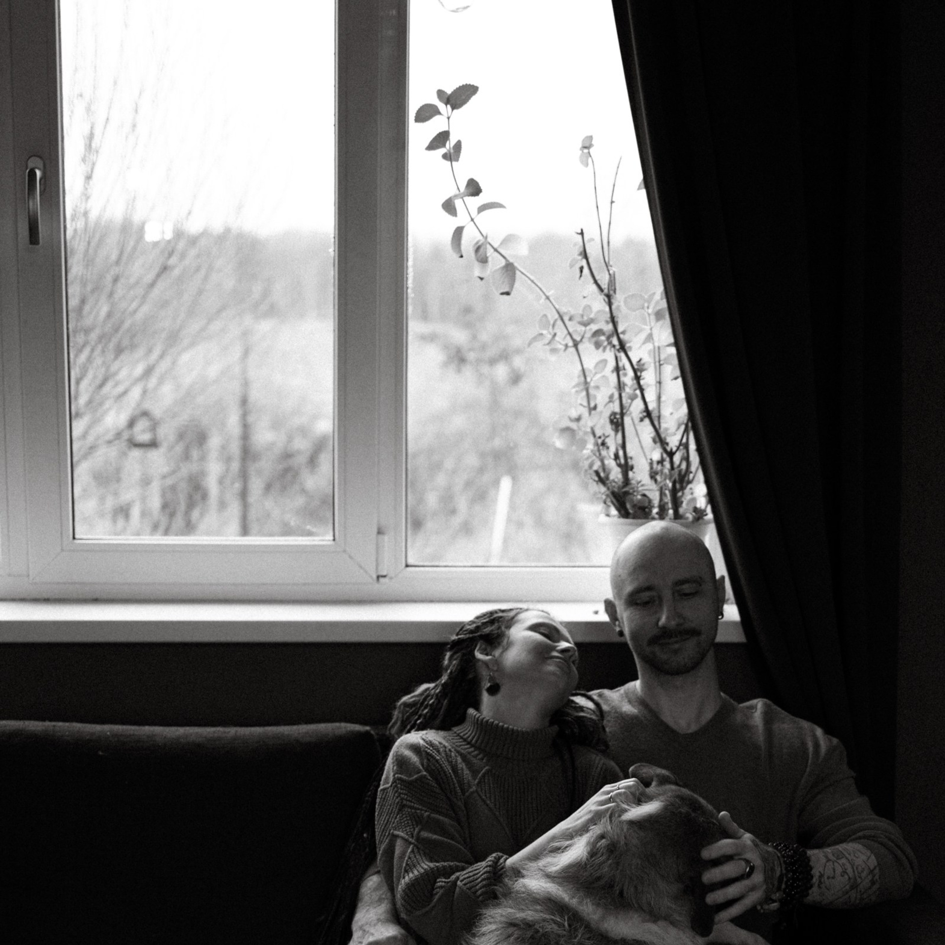 Франкенвини. Фотограф Daria Wilner