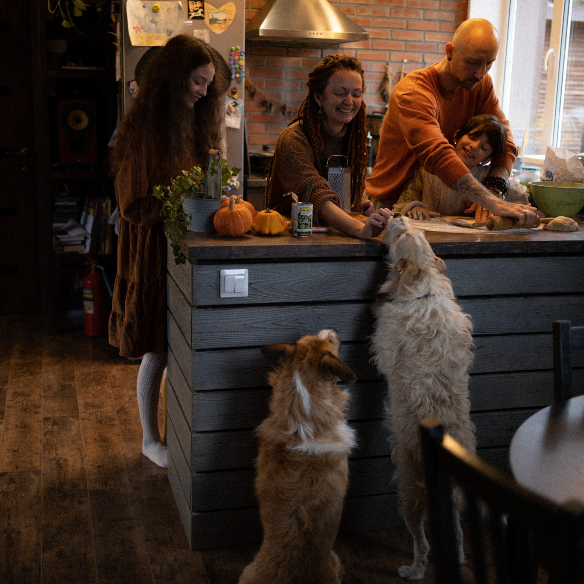 Франкенвини. Фотограф Daria Wilner