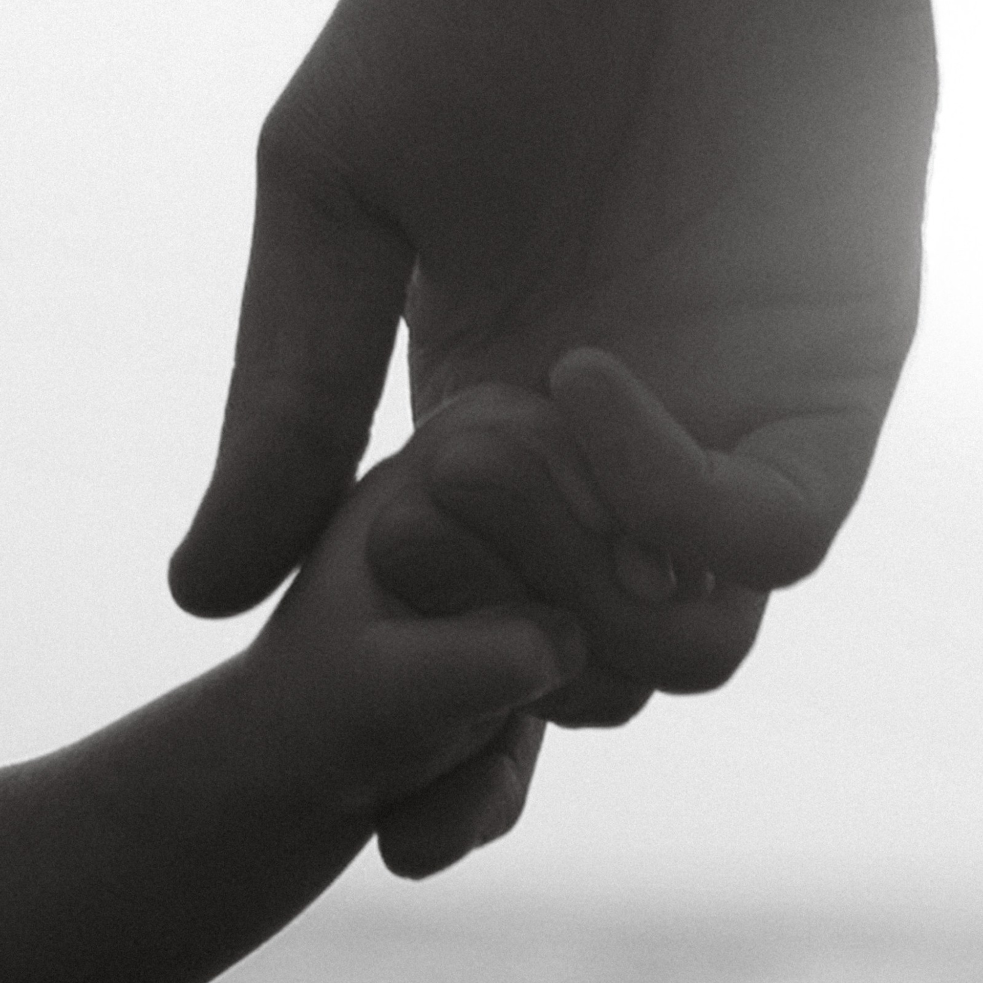 Немного средиземноморья. Фотограф Daria Wilner