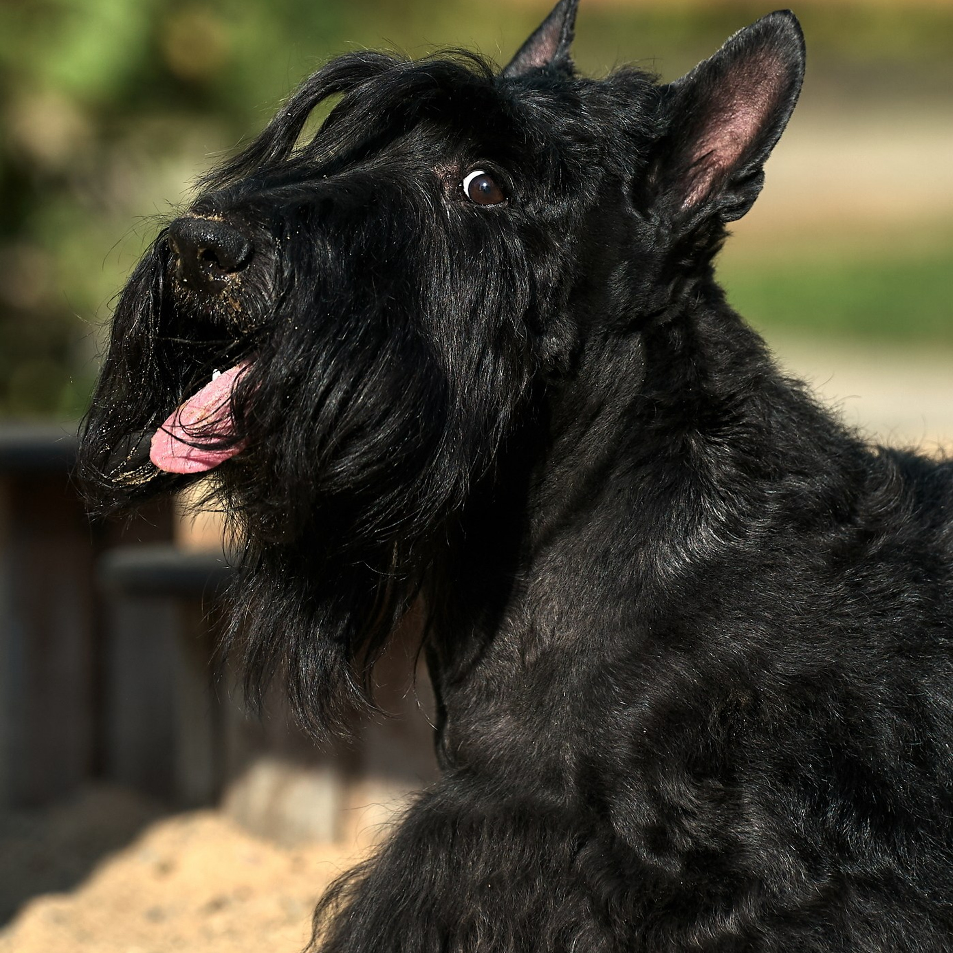 Отзывы заказчиков NATRIEL