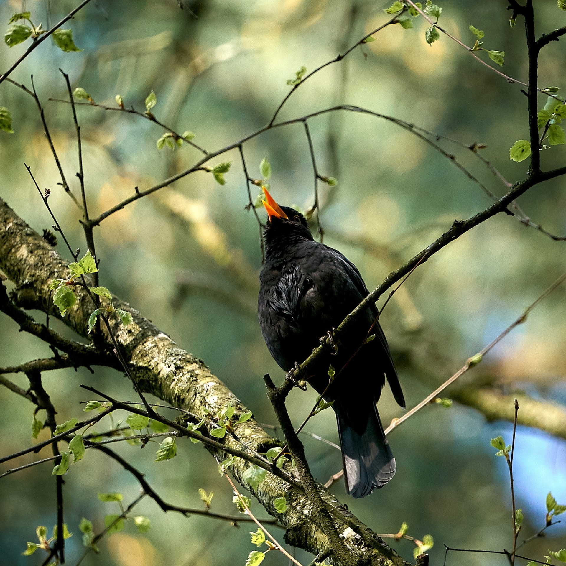 Отчеты о съемках — NATRIEL