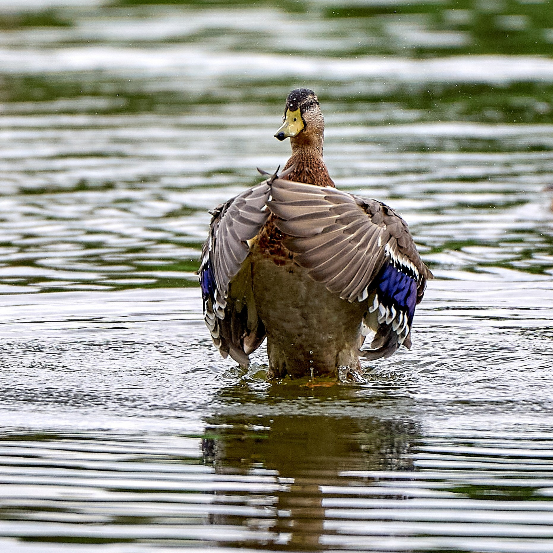 Отчеты о съемках — NATRIEL