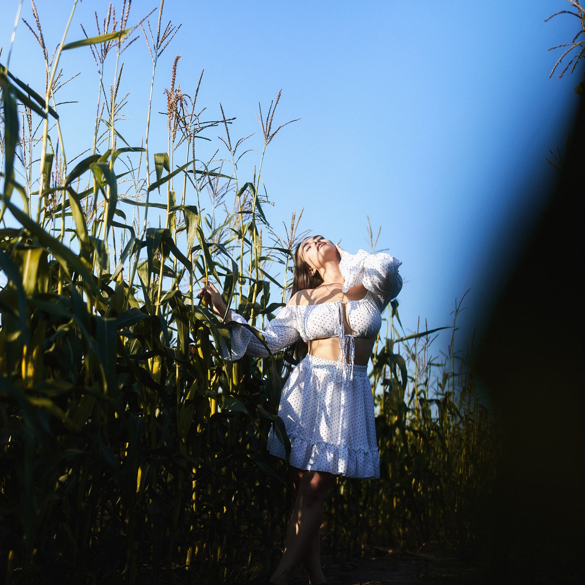 Оля, кукуруза