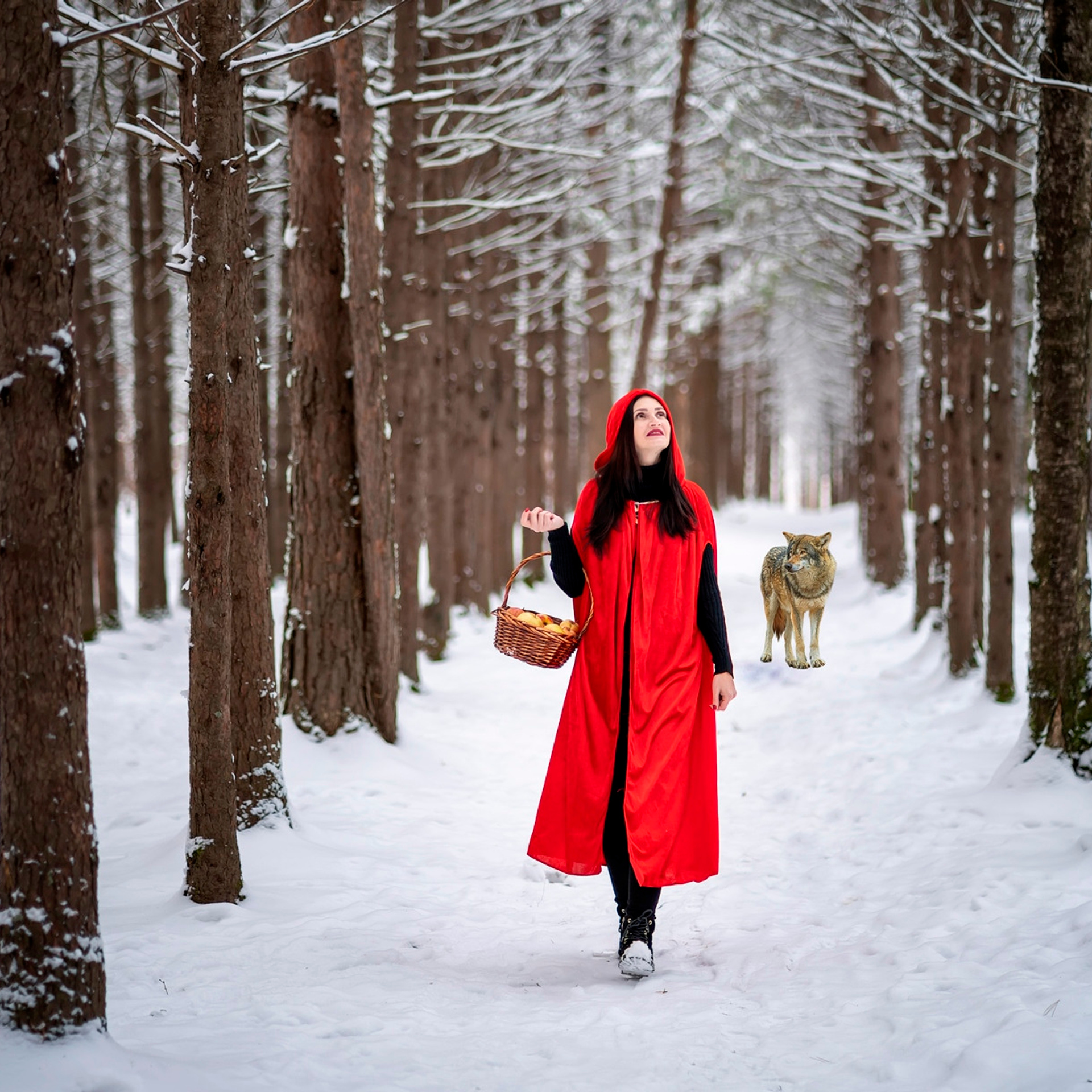 КРАСНАЯ ШАПОЧКА